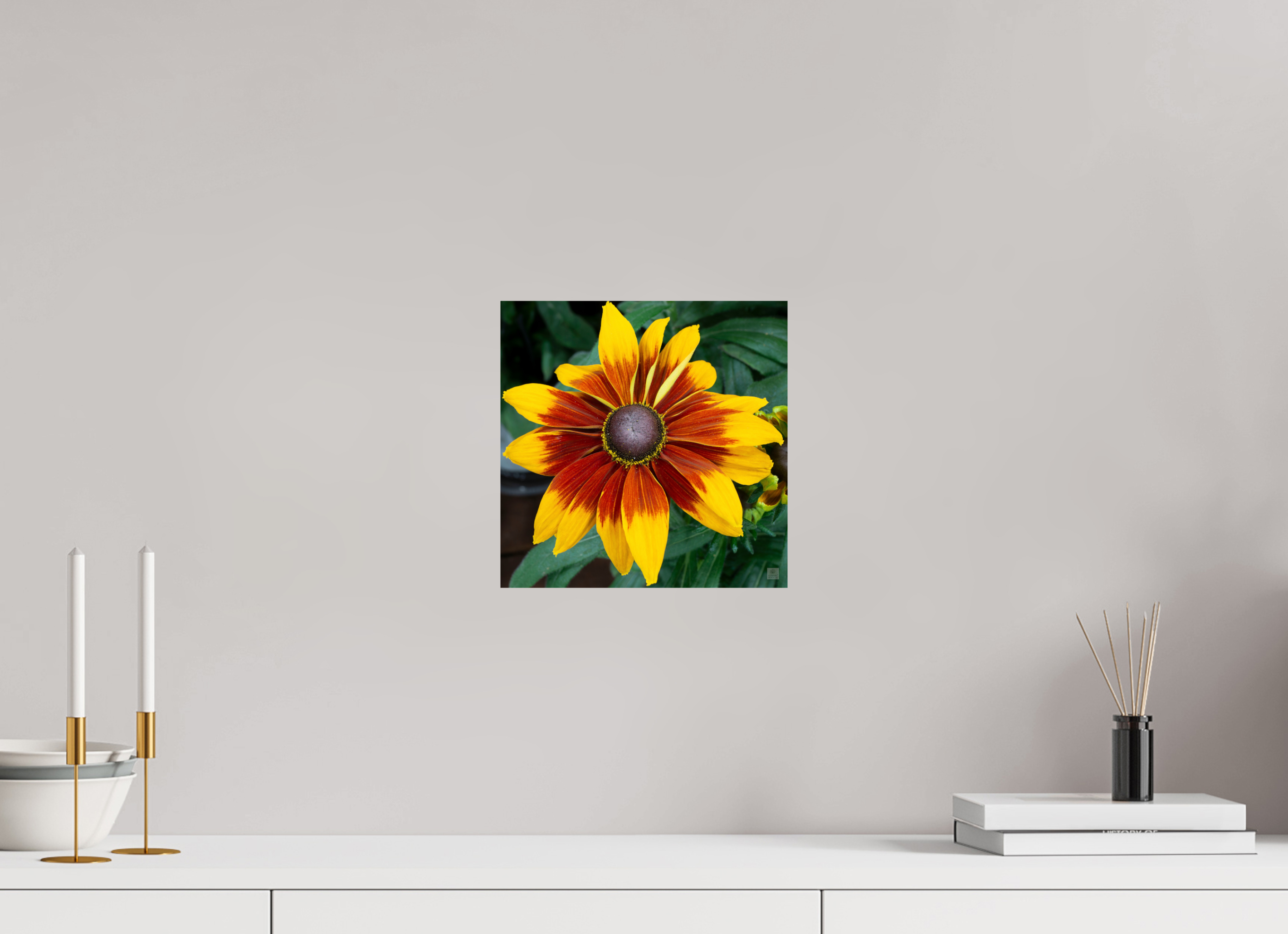Rudbeckia_yellow with red center_aspect ratio 1x1