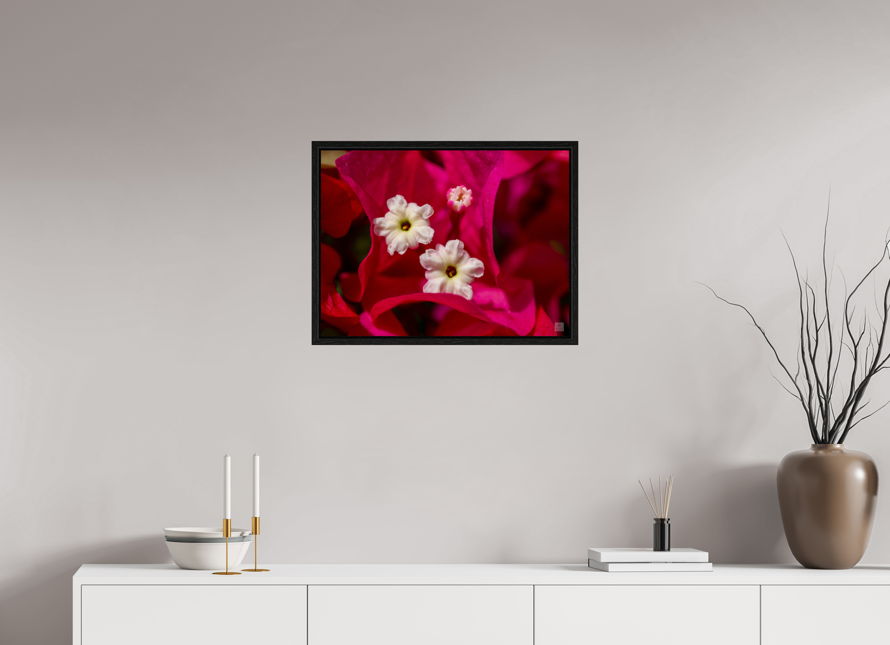 Bougainvillea_pink close-up_aspect ratio 4:3