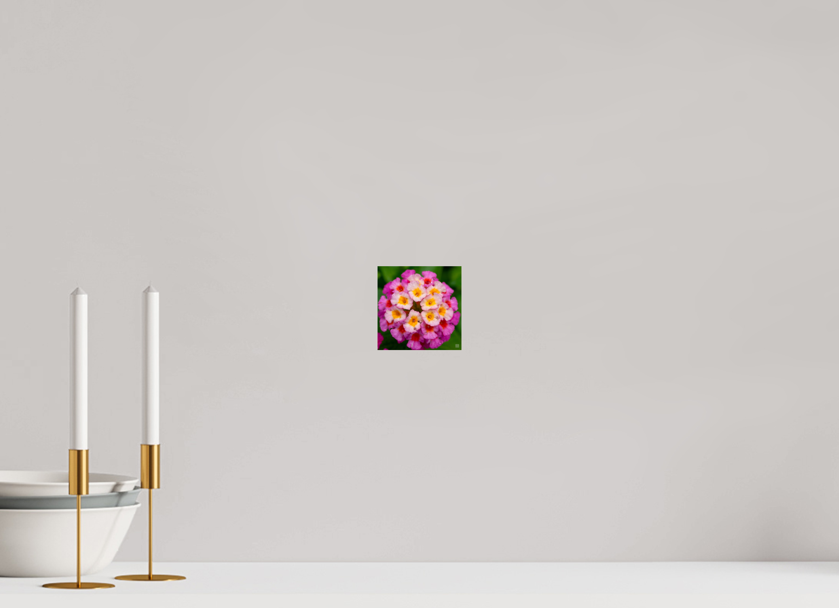 Lantana_deep pink with yellow_water droplets_aspect ratio 1x1
