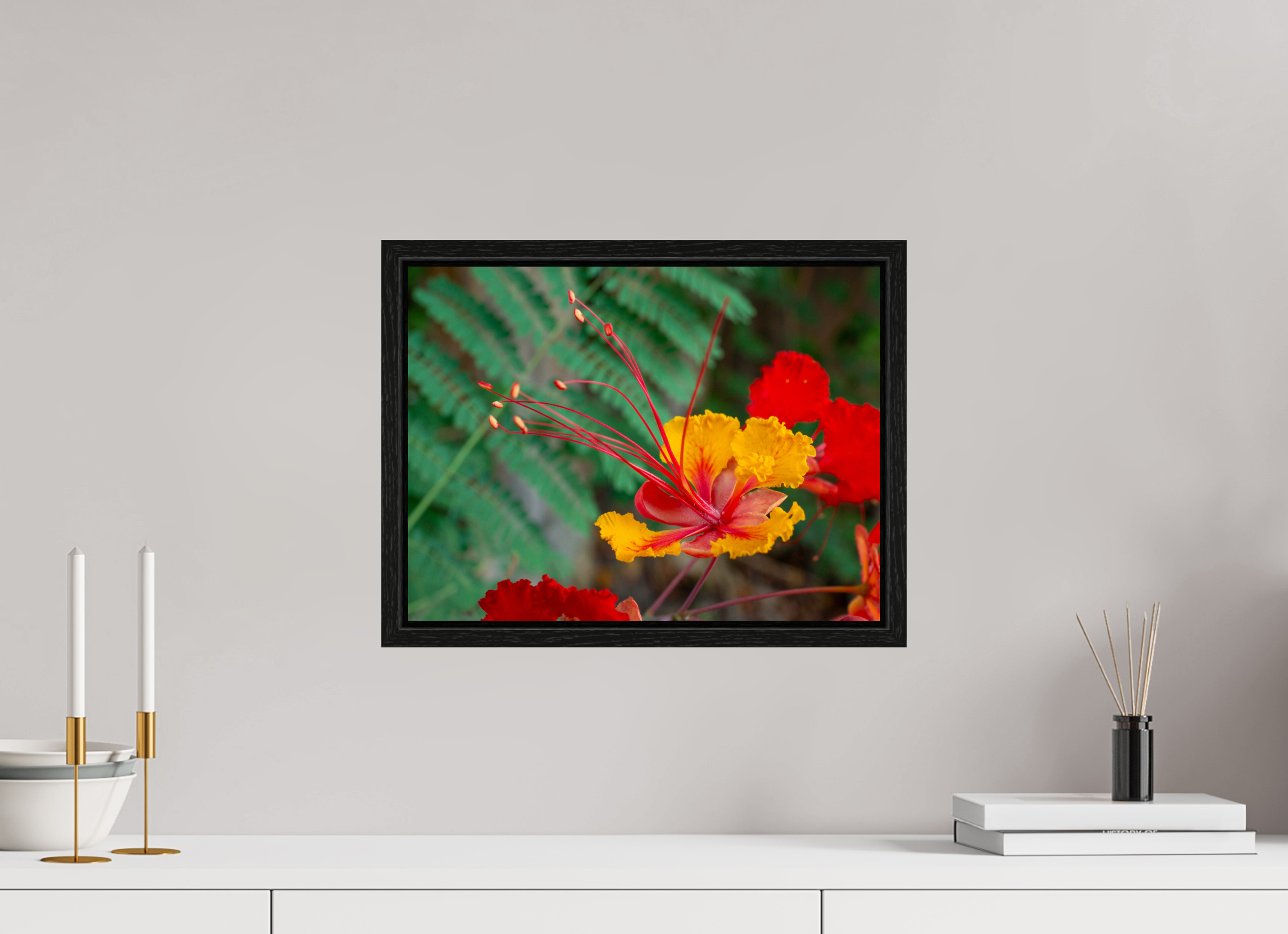 Pride of Barbados_yellow with orange_aspect ratio 4x3