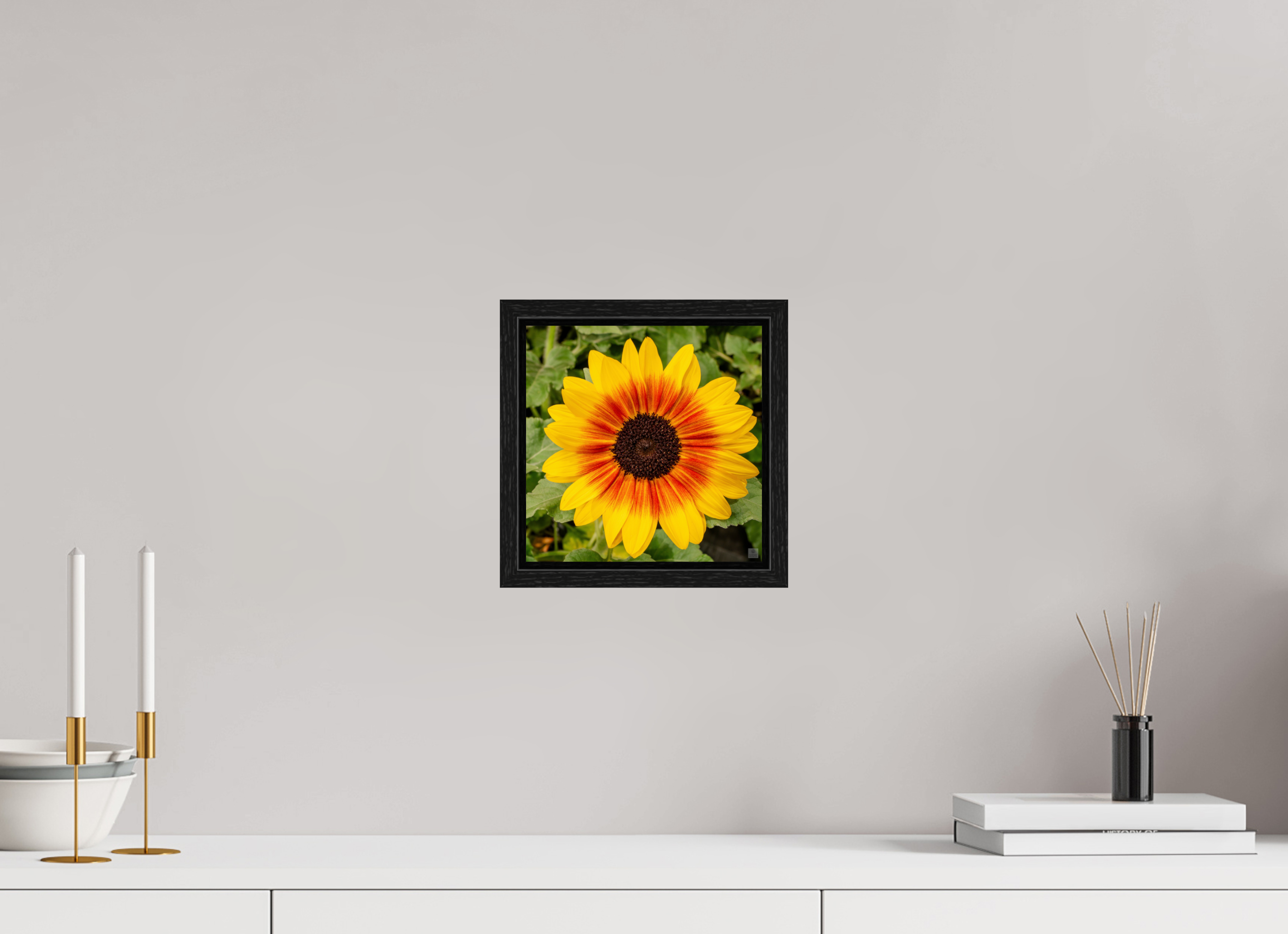 Sunflower hybrid_yellow with orange center_aspect ratio 1x1
