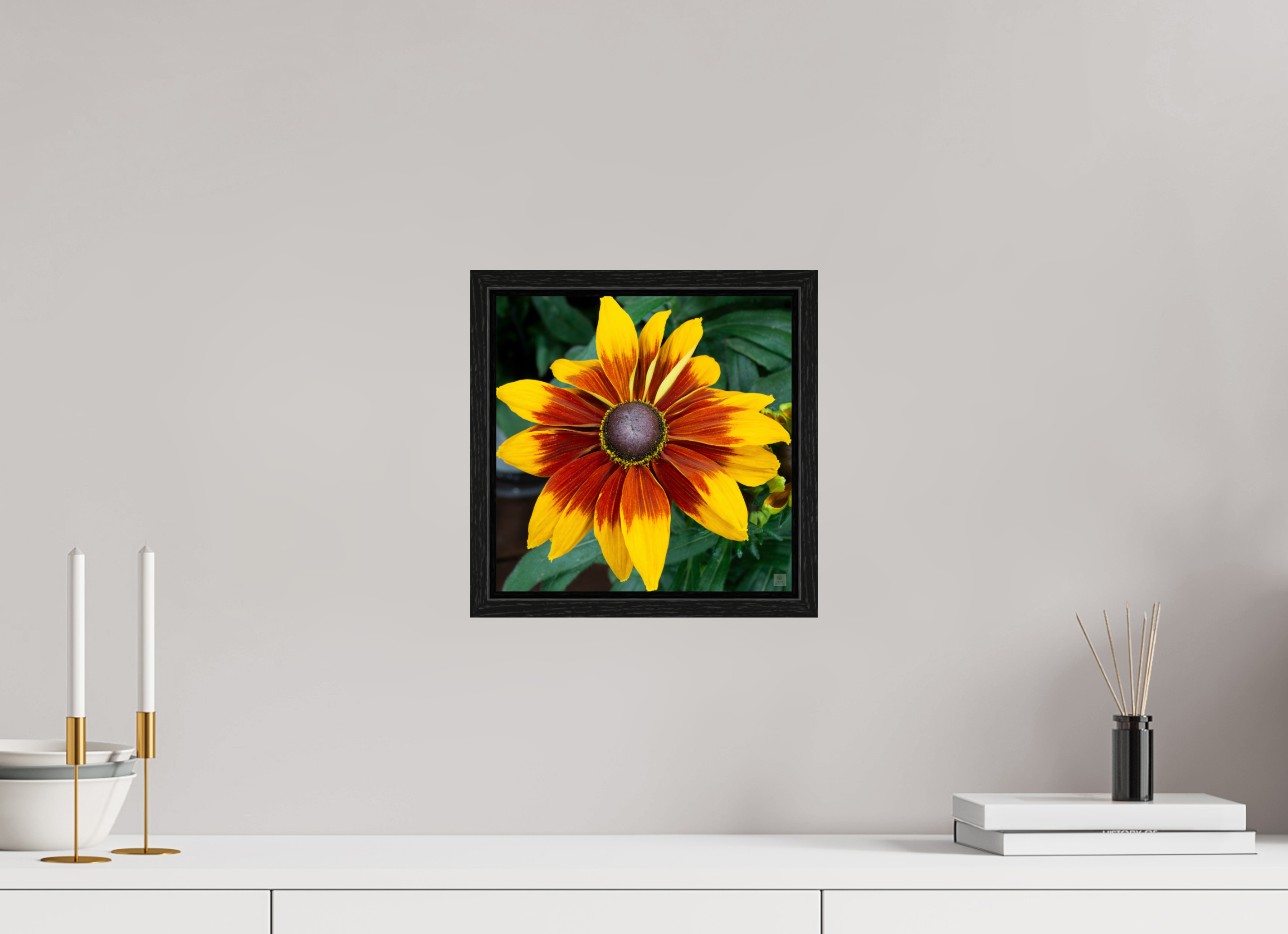 Rudbeckia_yellow with red center_aspect ratio 1x1