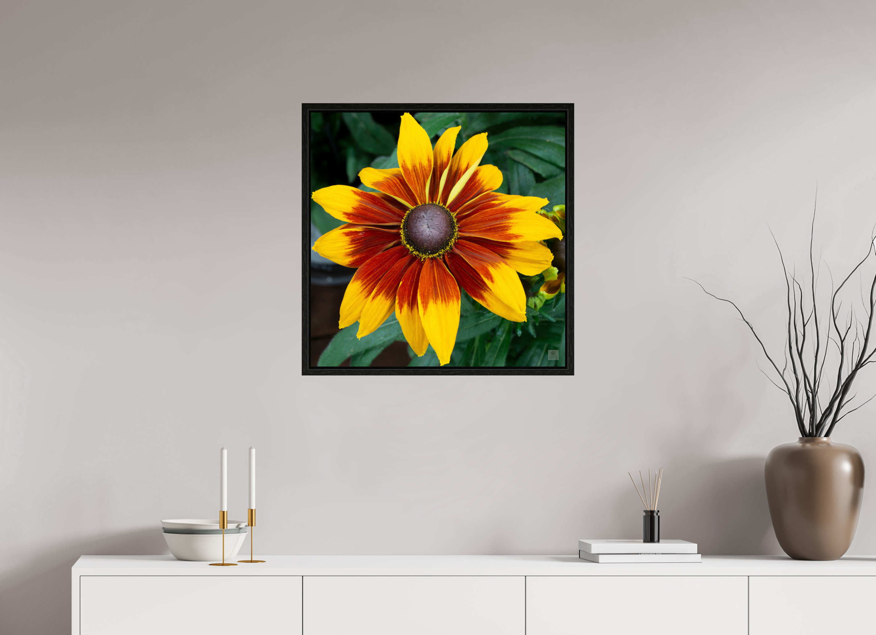 Rudbeckia_yellow with red center_aspect ratio 1x1