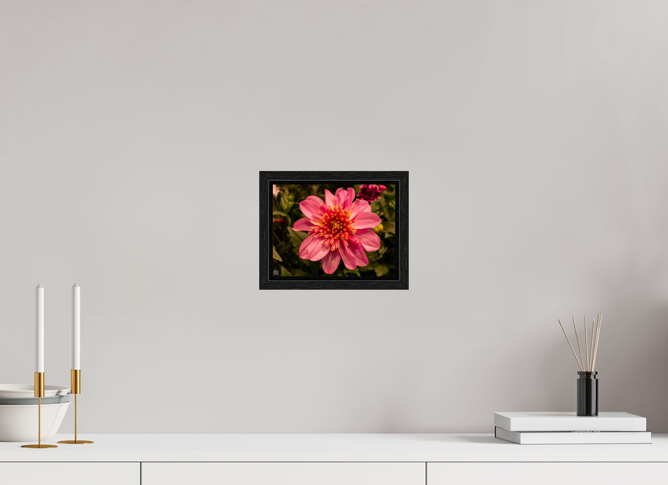 Dahlia_pink with yellow trim_aspect ratio 4:3