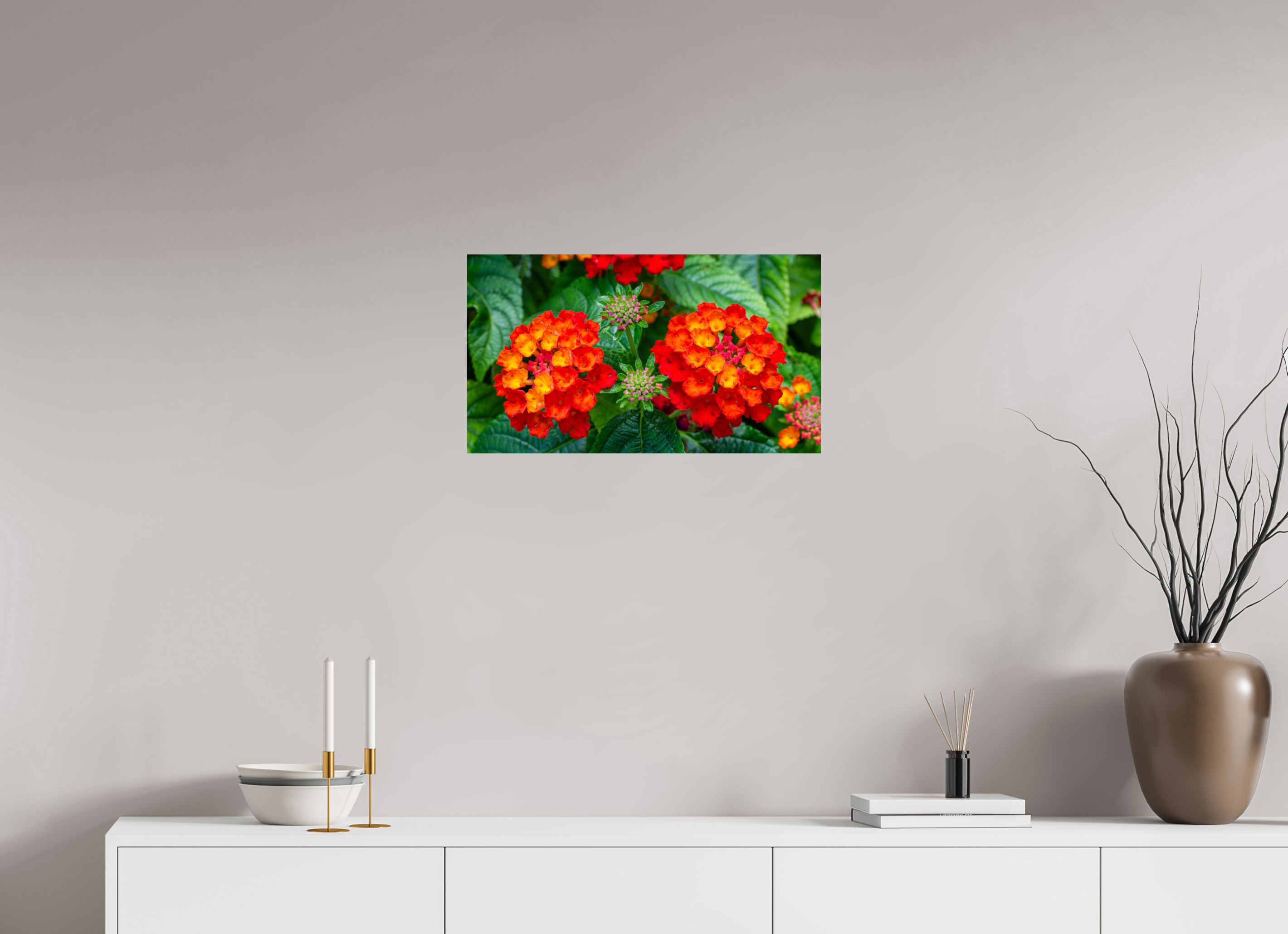 Lantana_orange with yellow double flower_aspect ratio 16x9