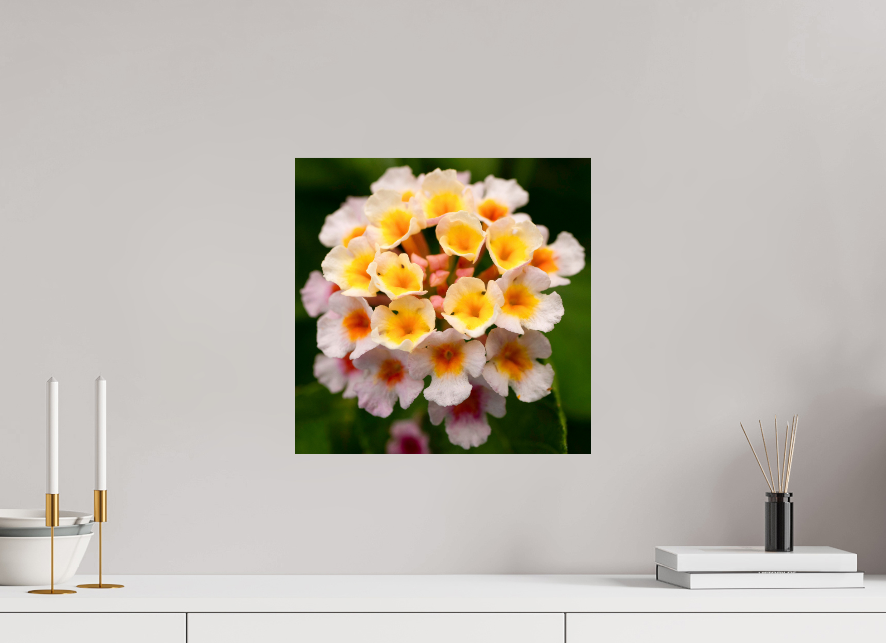 Lantana_light yellow with pale pink_aspect ratio 1x1