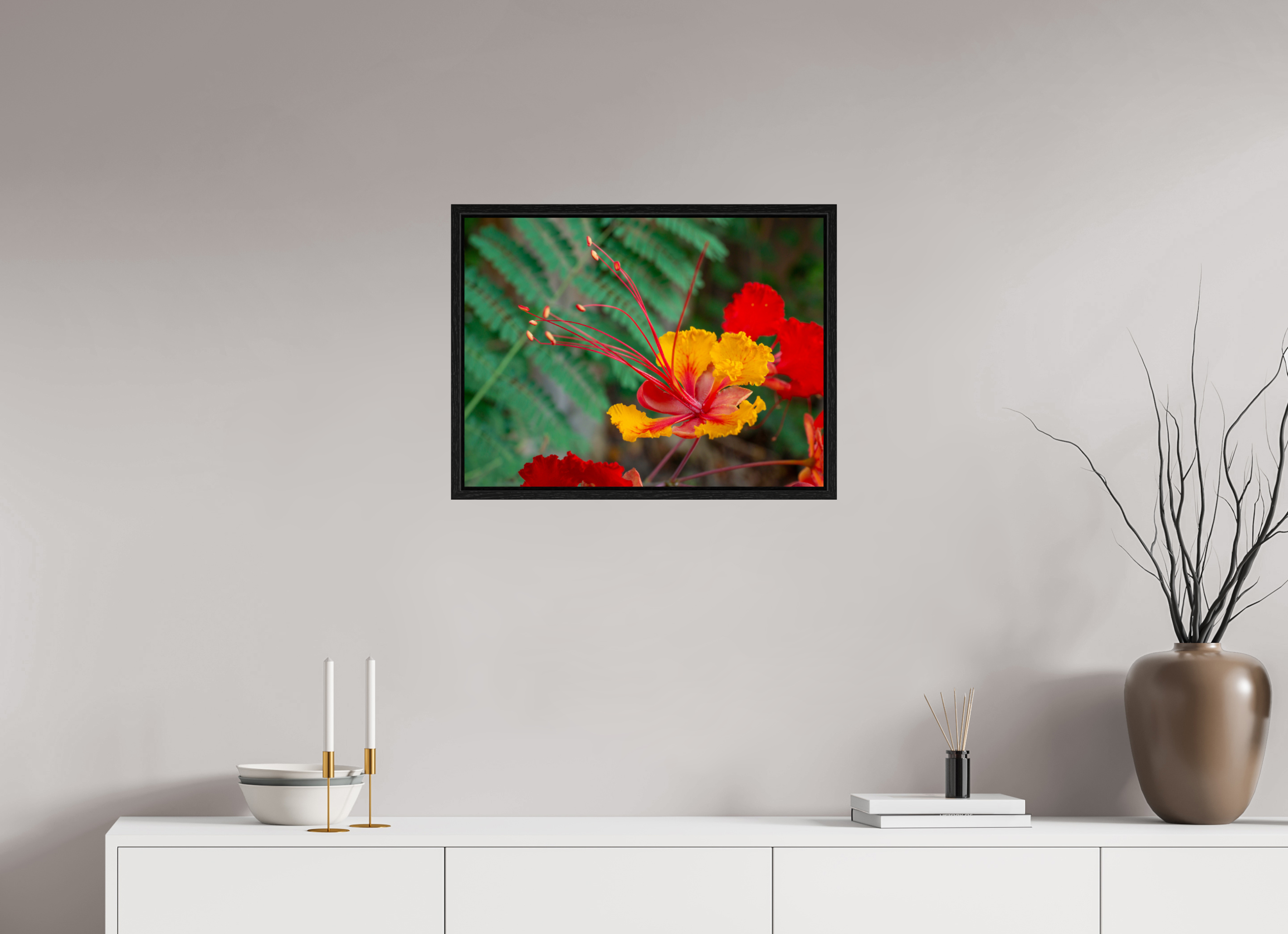 Pride of Barbados_yellow with orange_aspect ratio 4x3