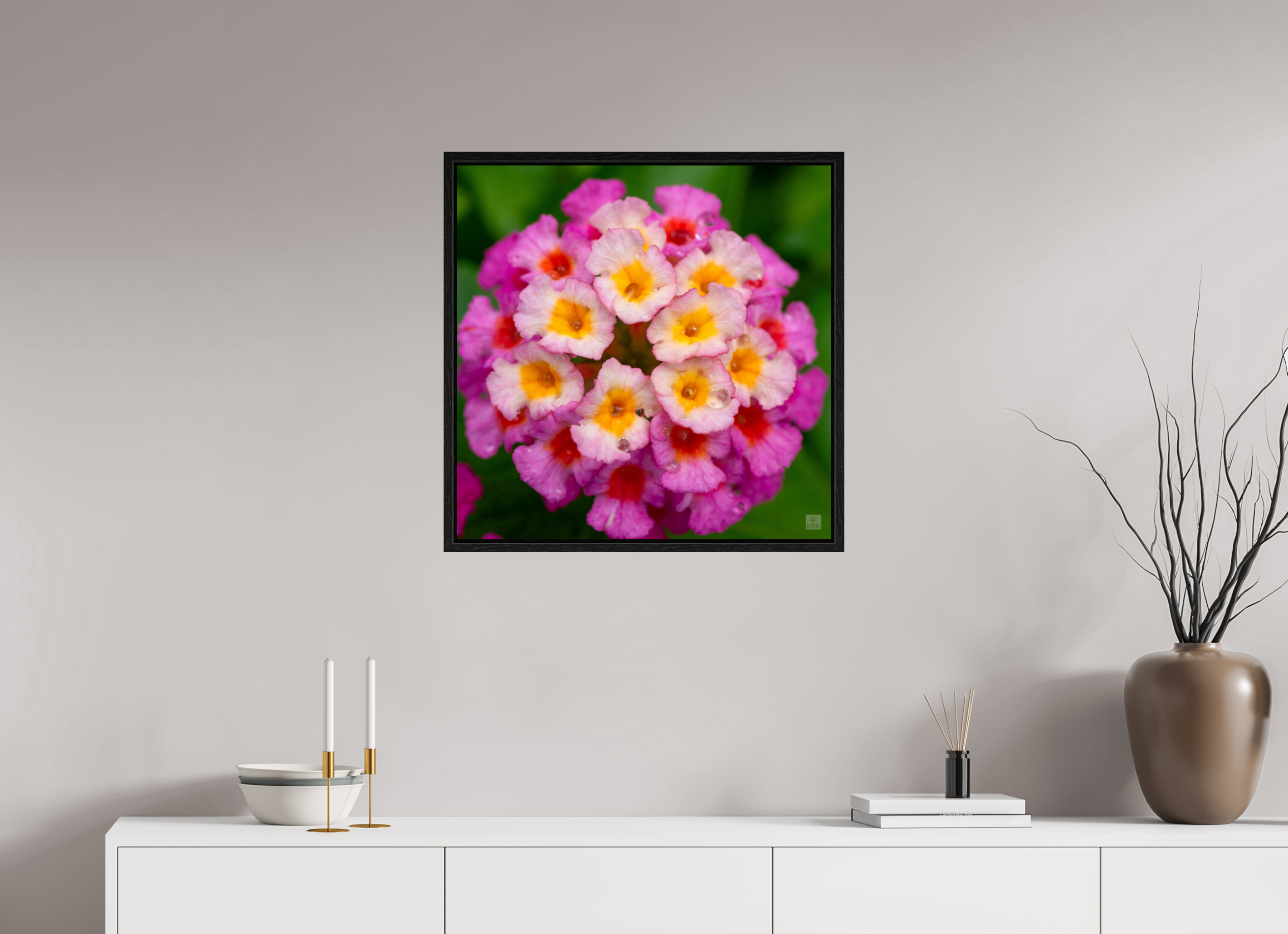 Lantana_deep pink with yellow_water droplets_aspect ratio 1x1