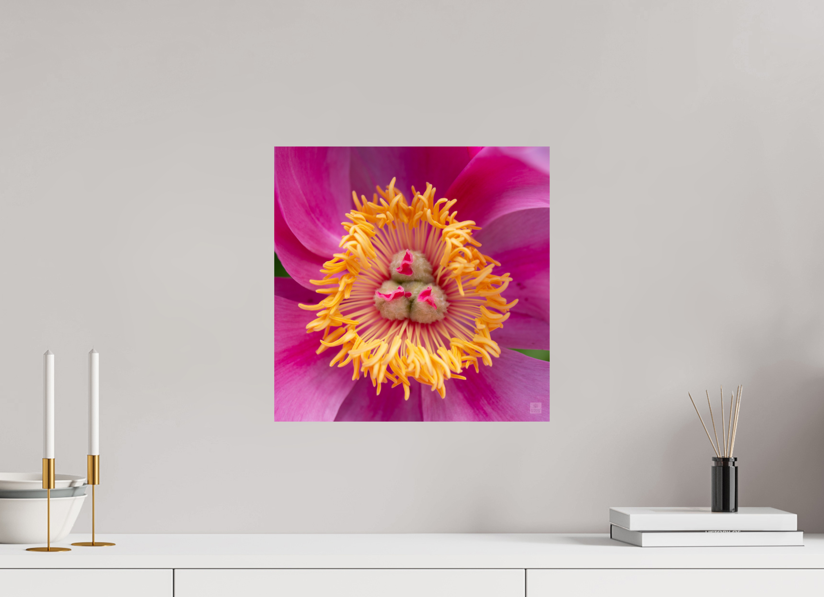 Peony_pink_center-2_aspect ratio 1x1