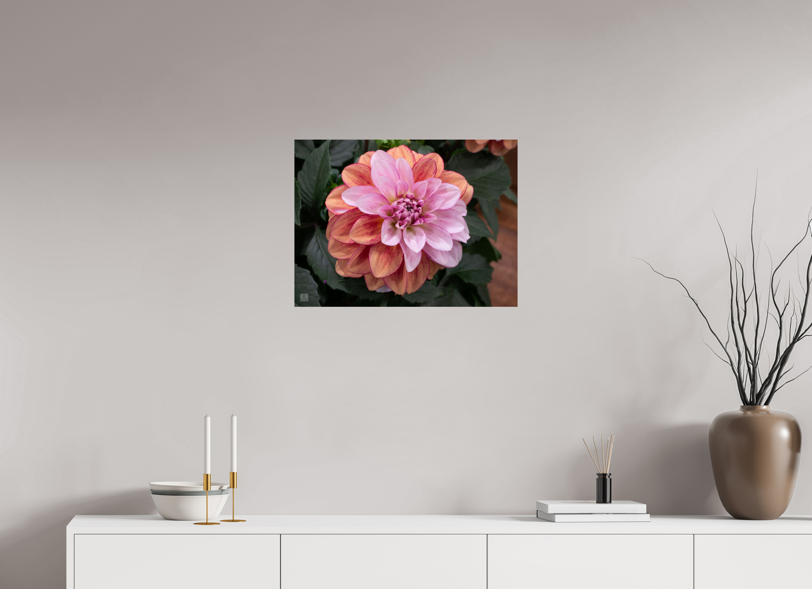Dahlia_pink with red streak_ aspect ratio 4:3