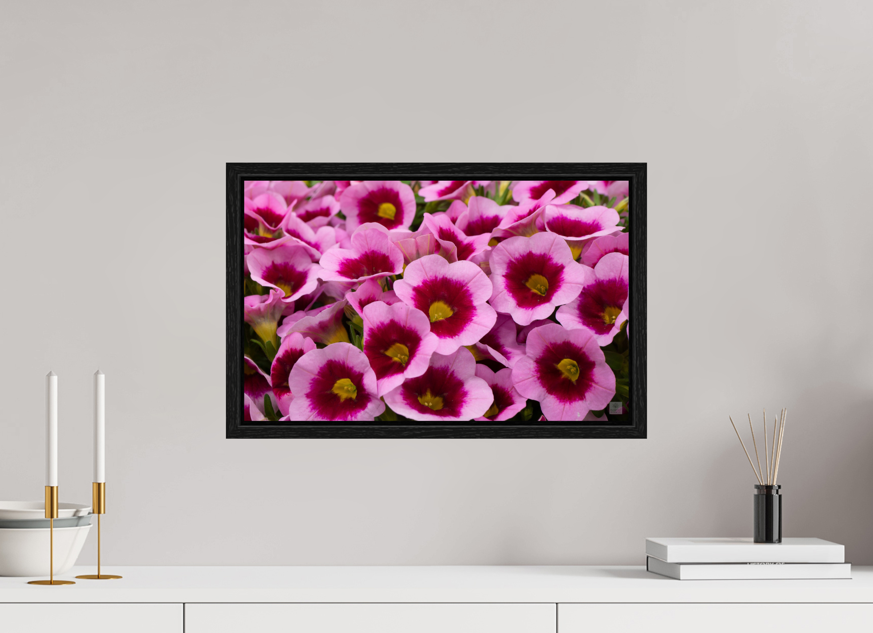 Calibrachoa_pink & purple_aspect ratio 16:10