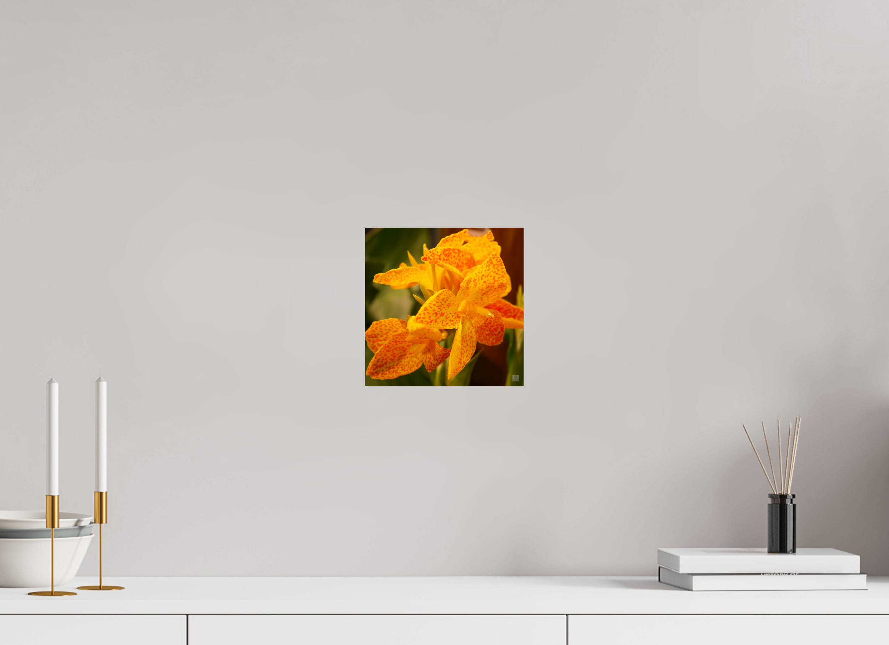 Canna lily_orange & yellow_aspect ratio 1:1