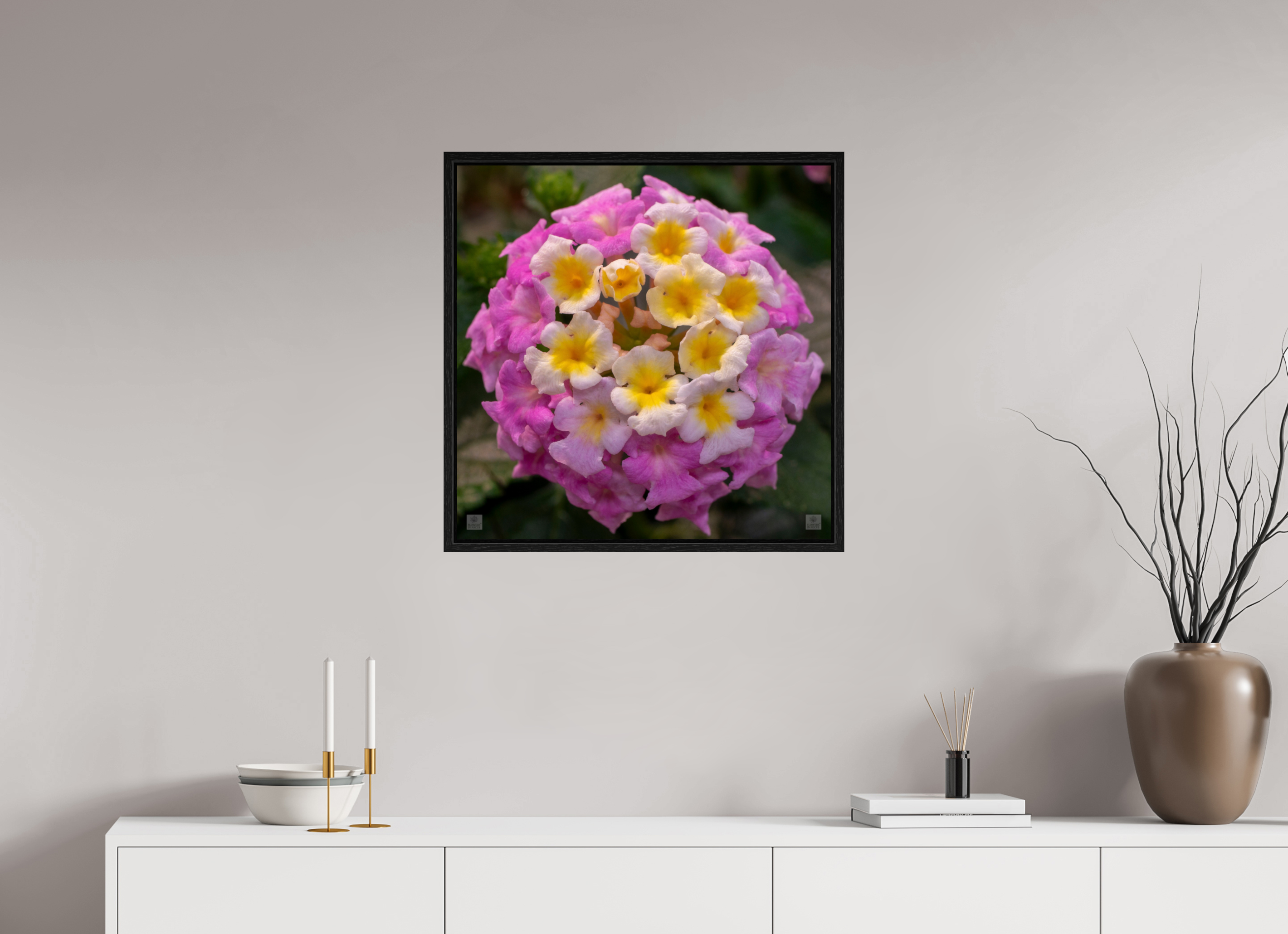 Lantana_deep pink with yellow_aspect ratio 1x1