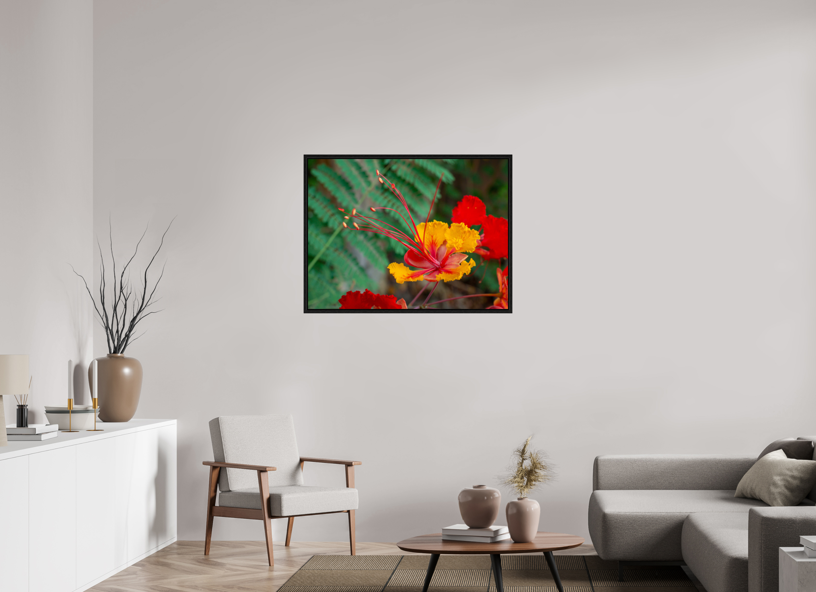 Pride of Barbados_yellow with orange_aspect ratio 4x3