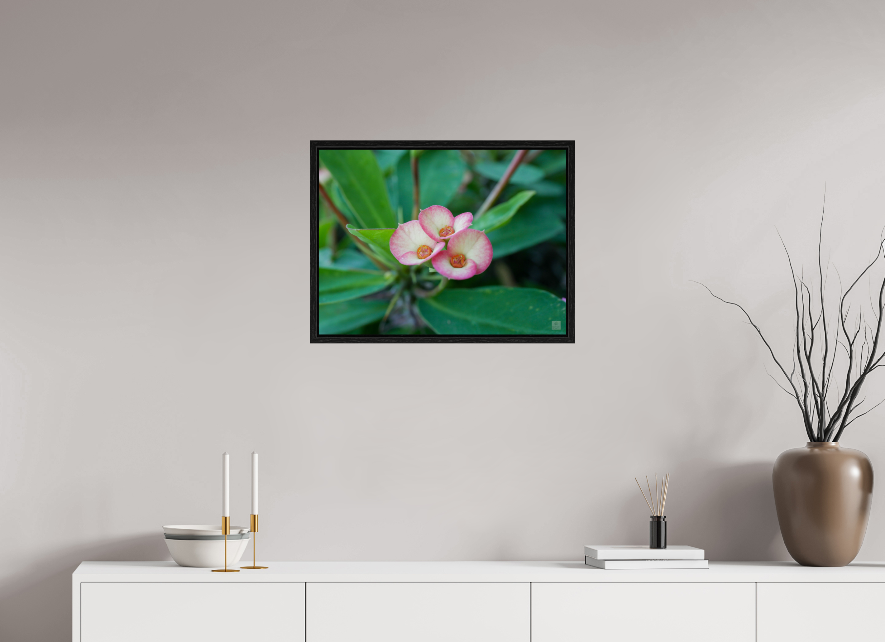 Crown of Thorns_pink fringe_aspect ratio 4:3