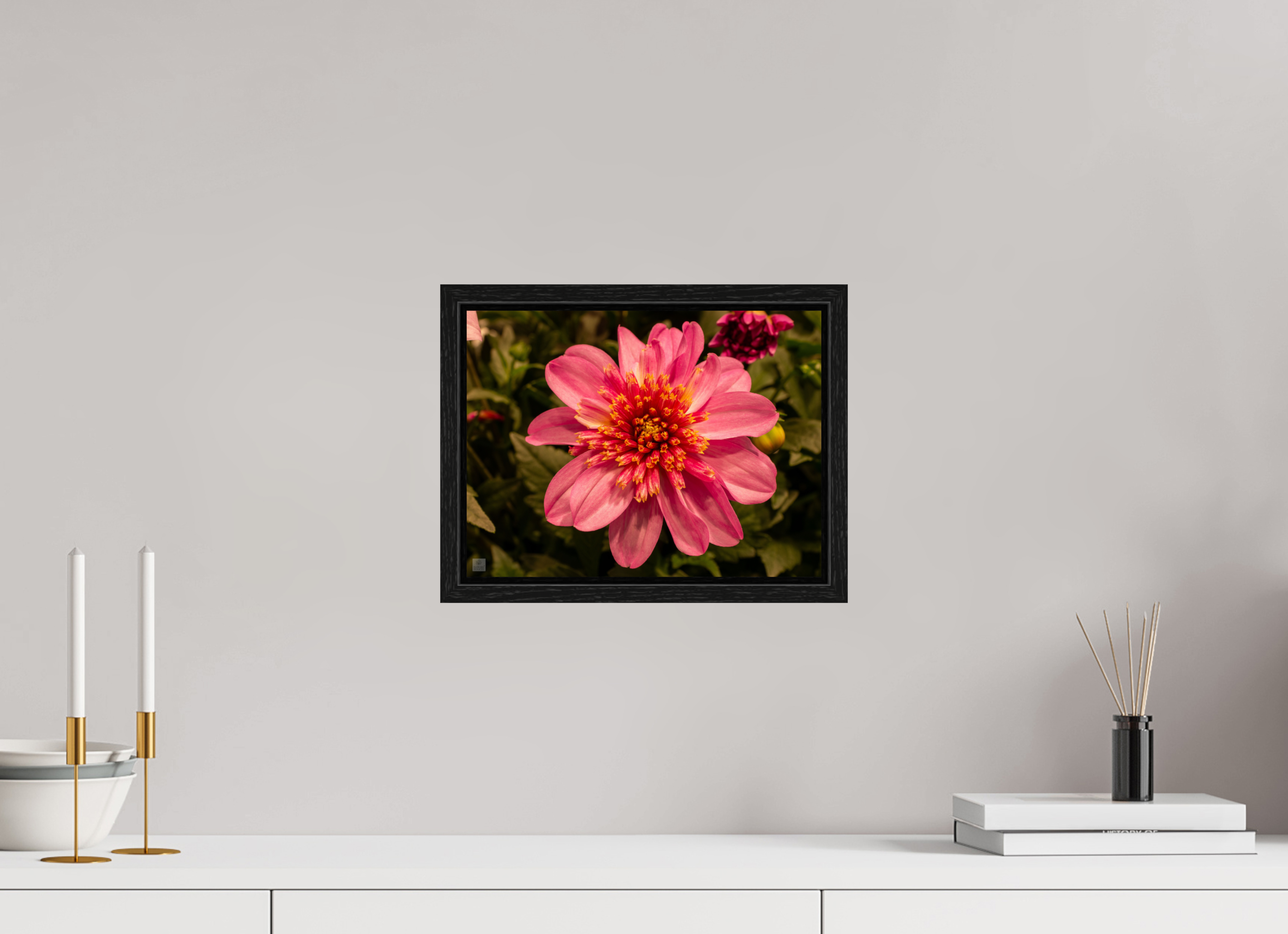 Dahlia_pink with yellow trim_aspect ratio 4:3