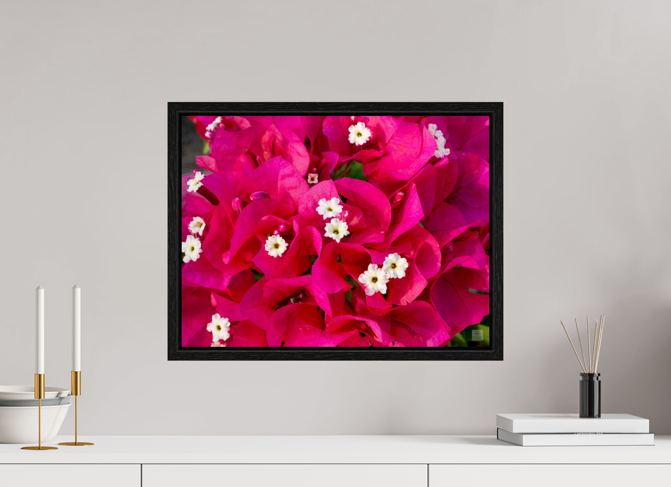 Bougainvillea_pink bunch_aspect ratio 4:3
