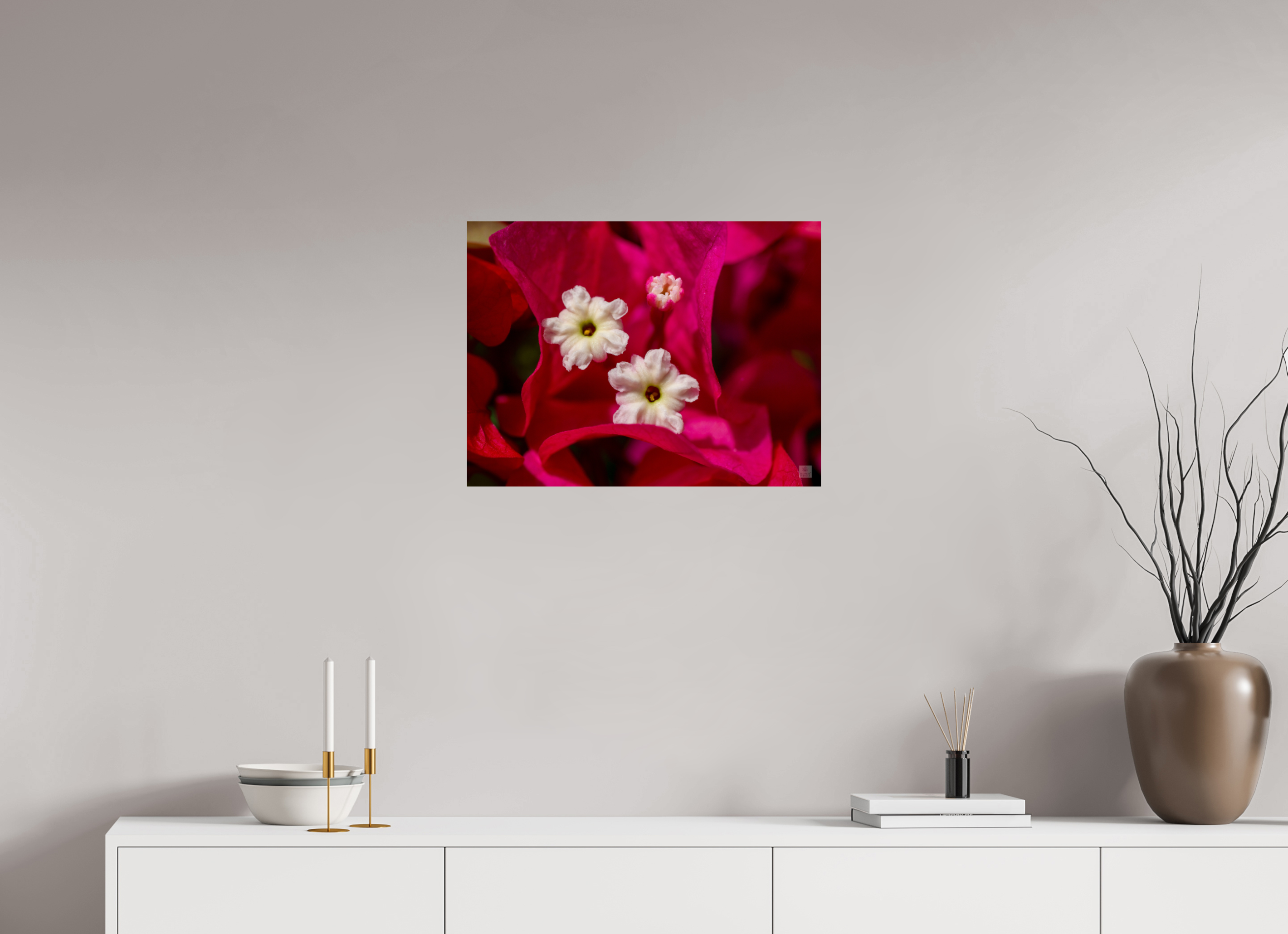 Bougainvillea_pink close-up_aspect ratio 4:3