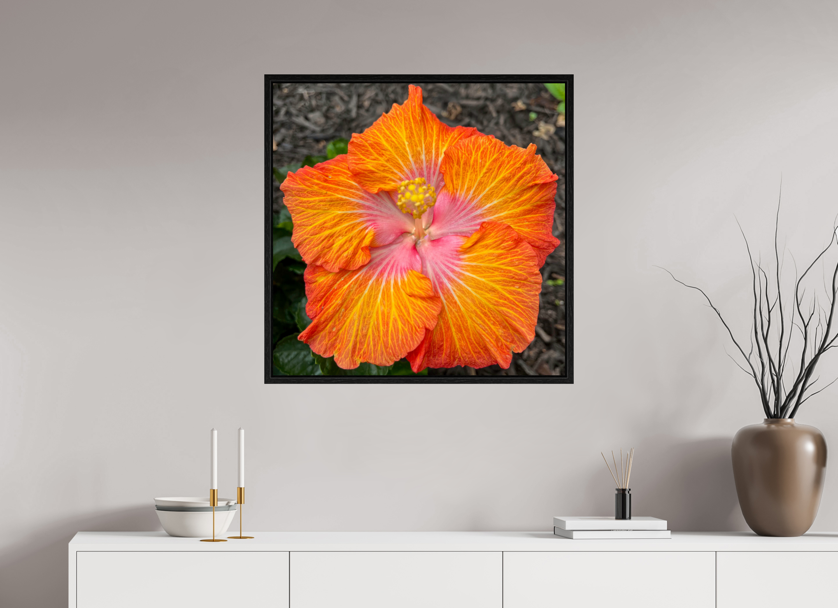 Hibiscus hybrid_bright orange_aspect ratio 1:1