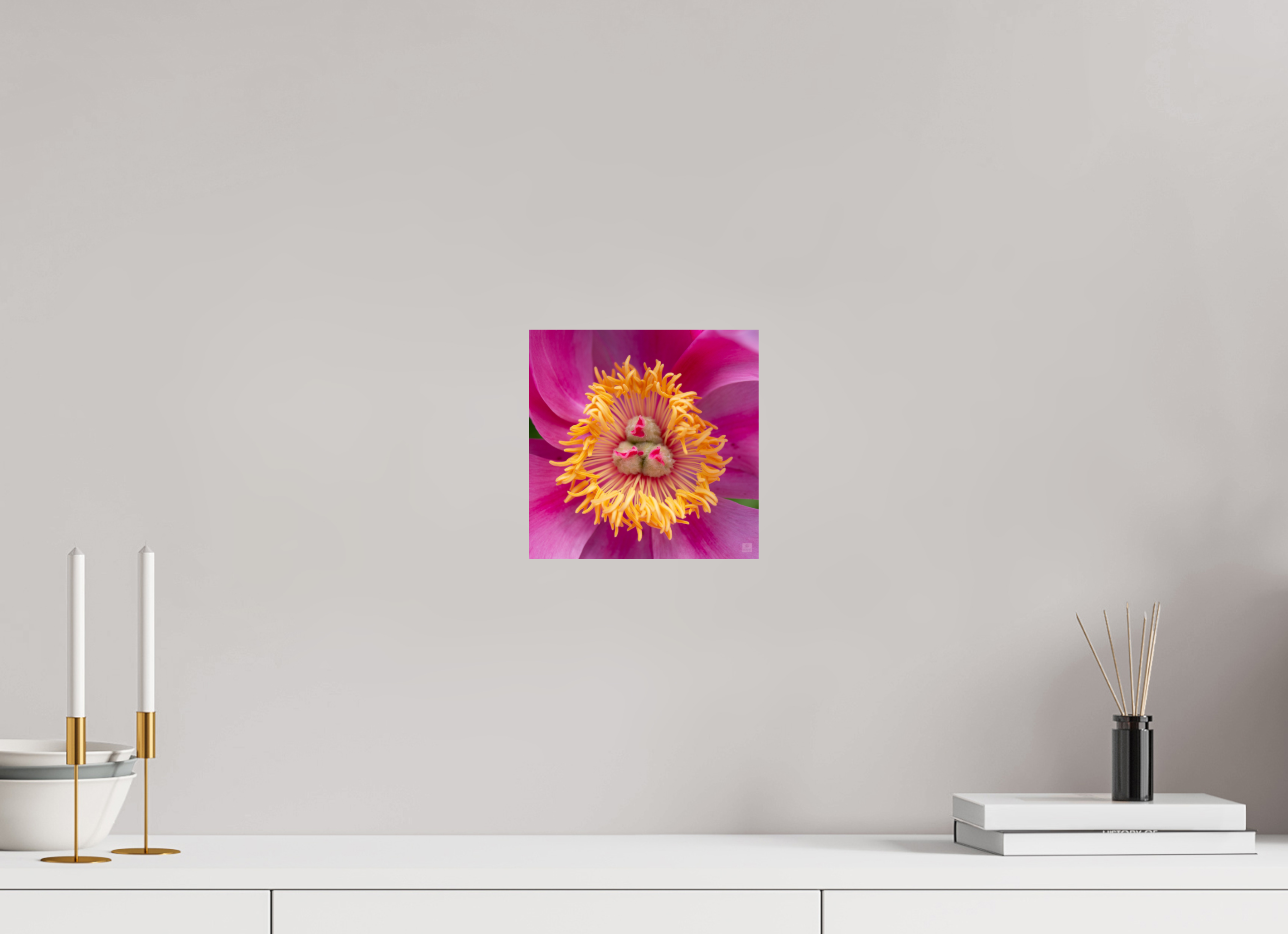 Peony_pink_center-2_aspect ratio 1x1