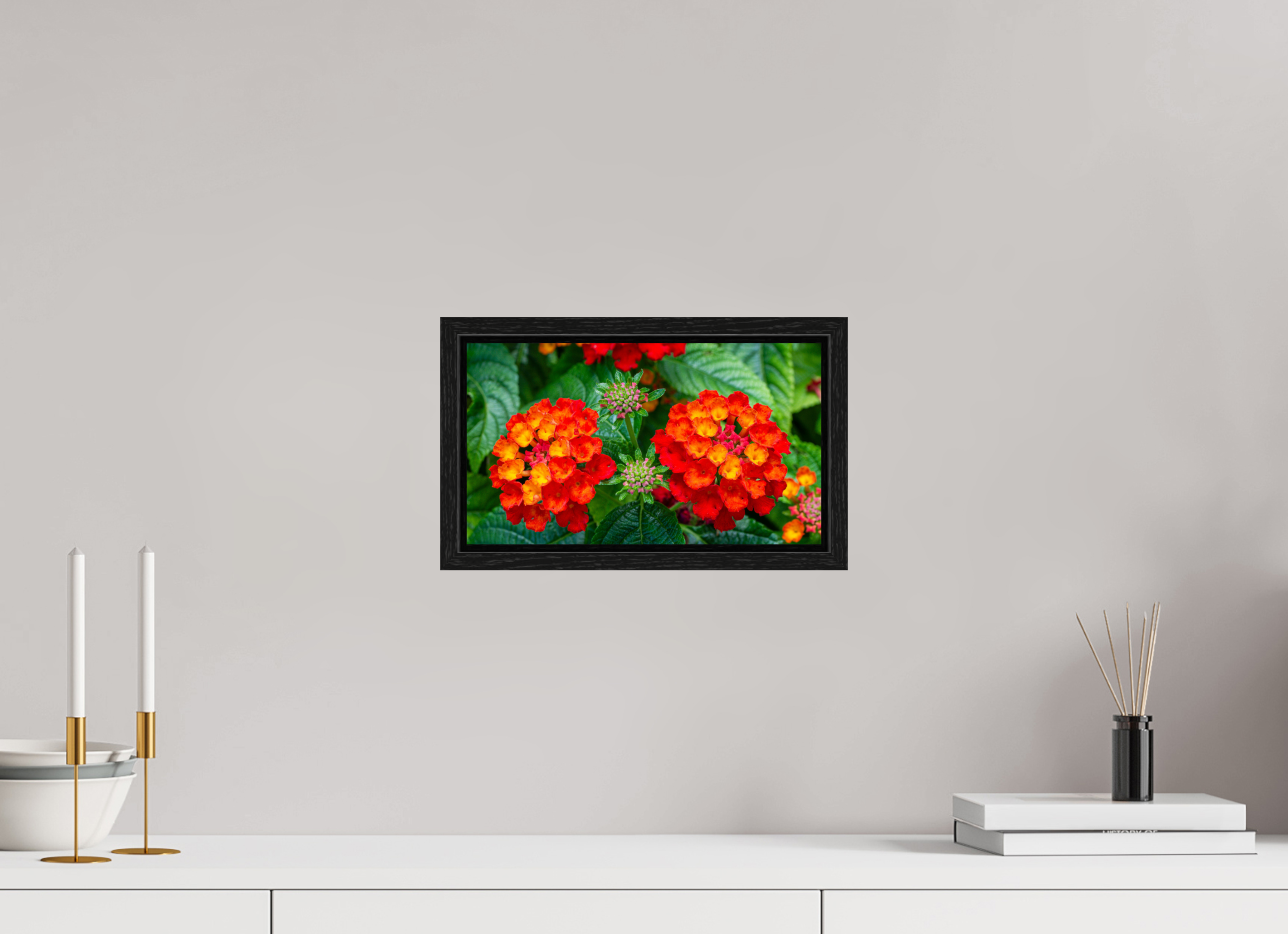 Lantana_orange with yellow double flower_aspect ratio 16x9