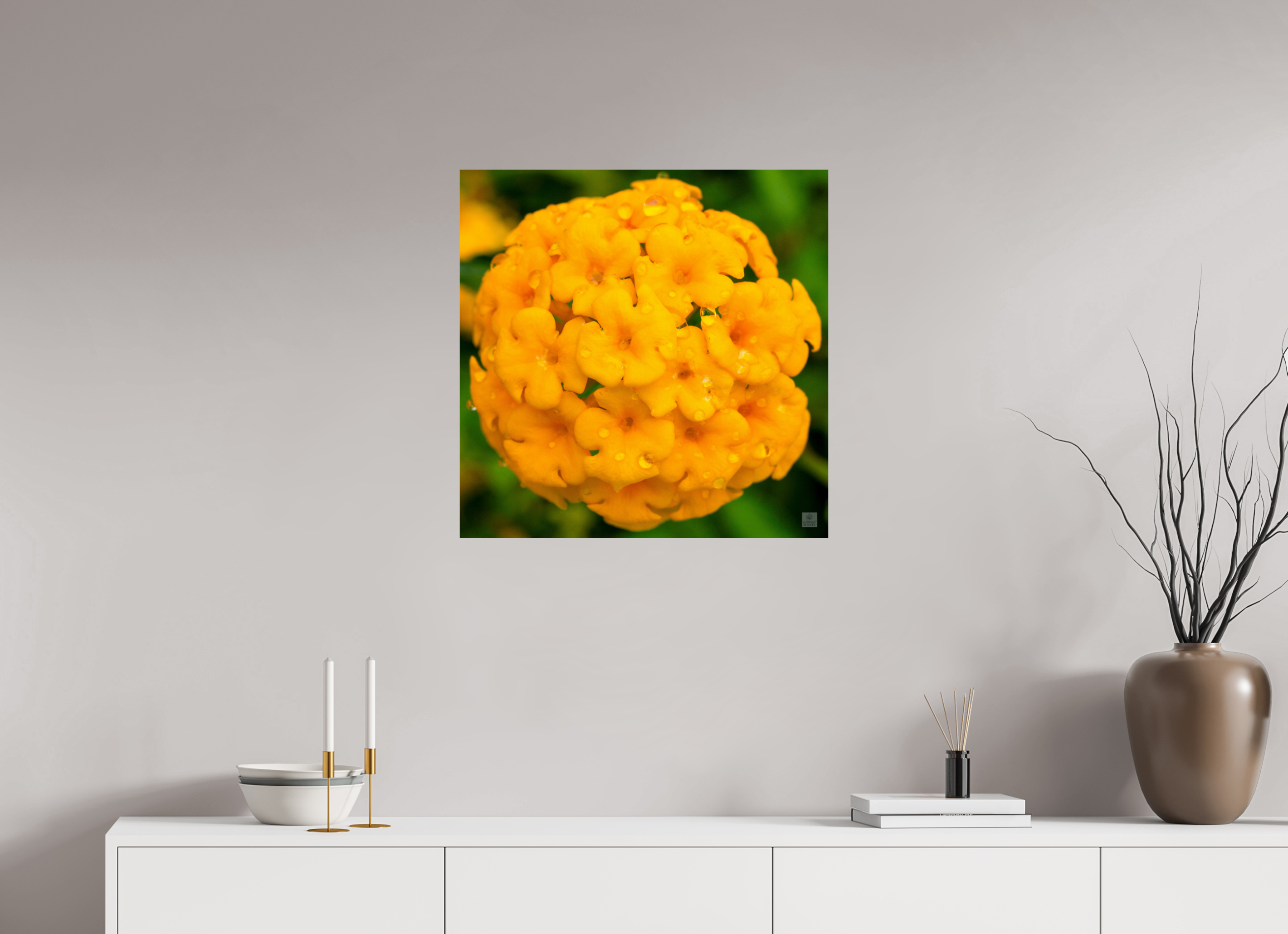Lantana hybrid_yellow (with water droplets)_aspect ration 1x1