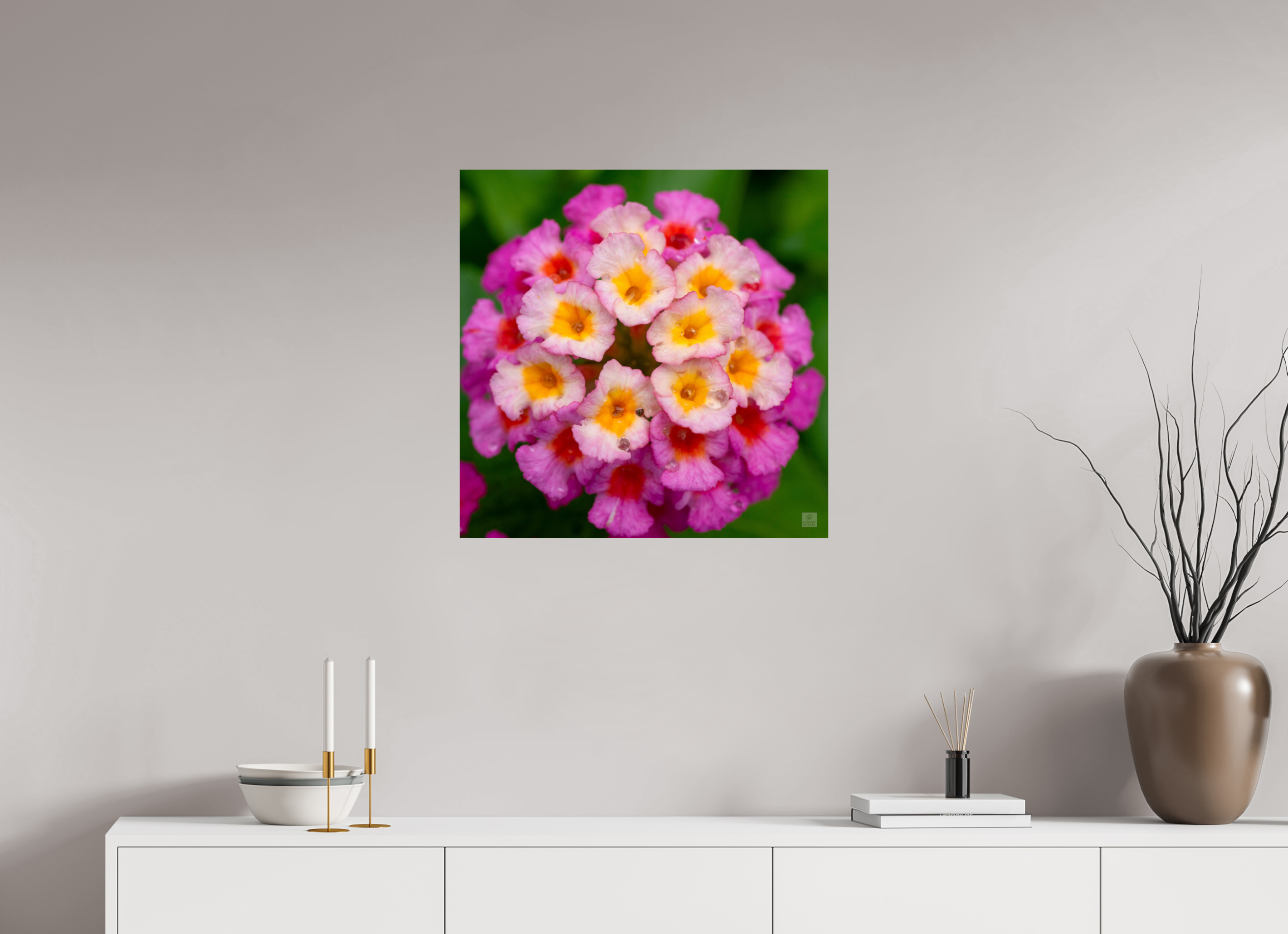 Lantana_deep pink with yellow_water droplets_aspect ratio 1x1