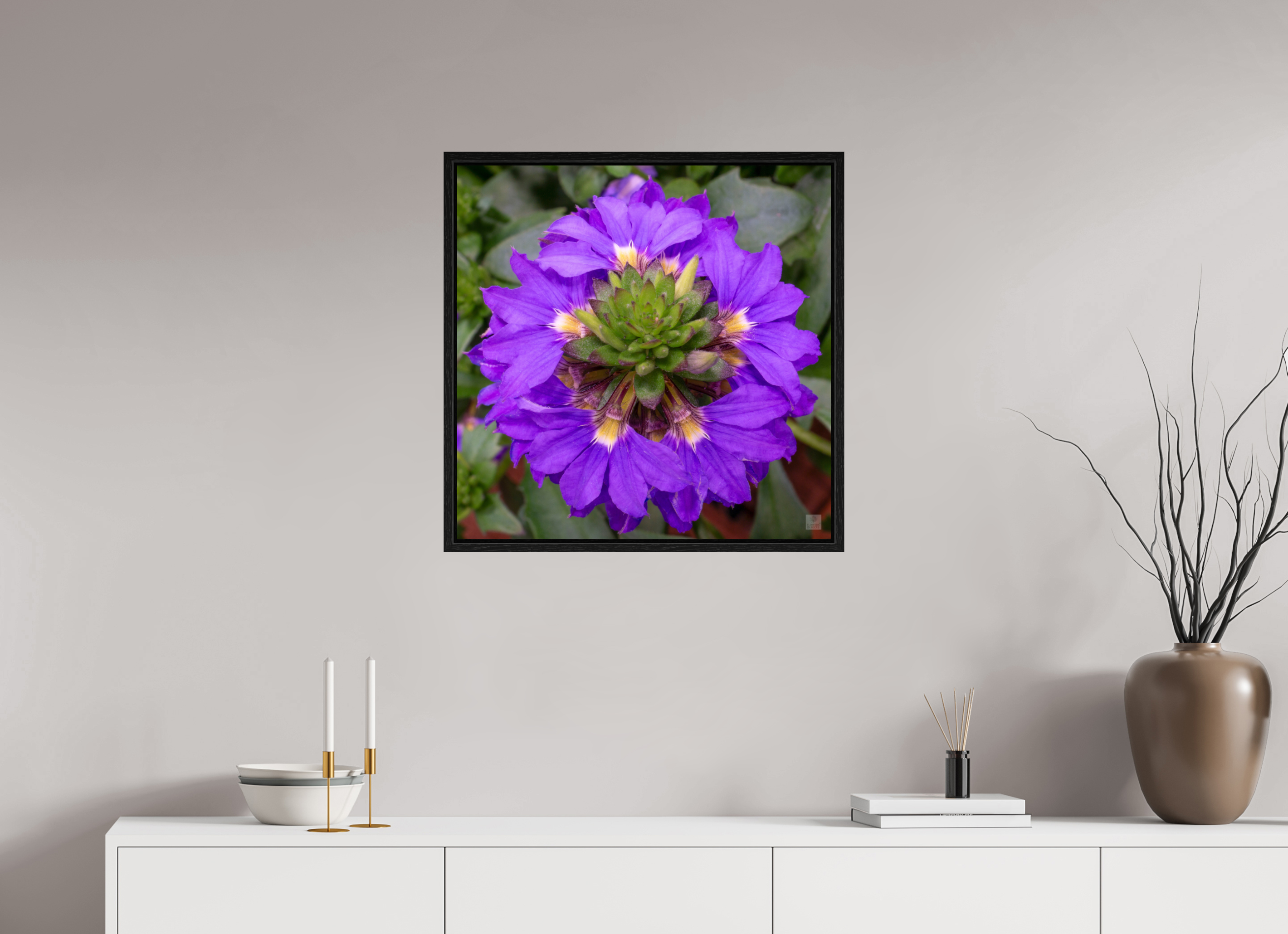 Scaevola_blue_aspect ratio 1x1