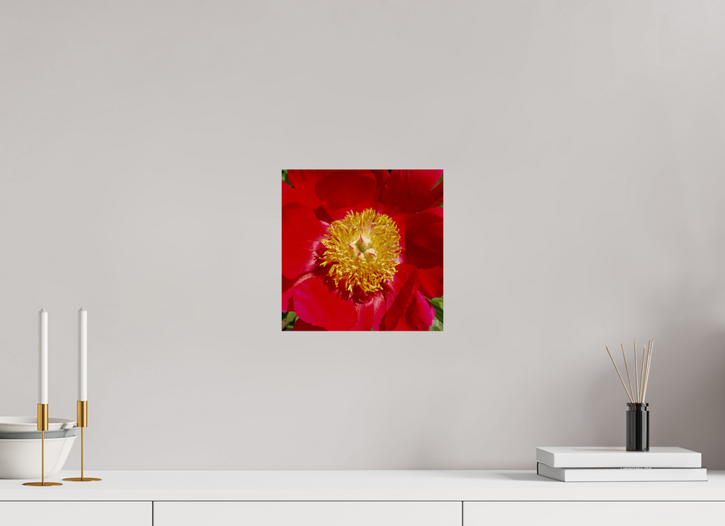 Peony_red close up_aspect ratio 1x1