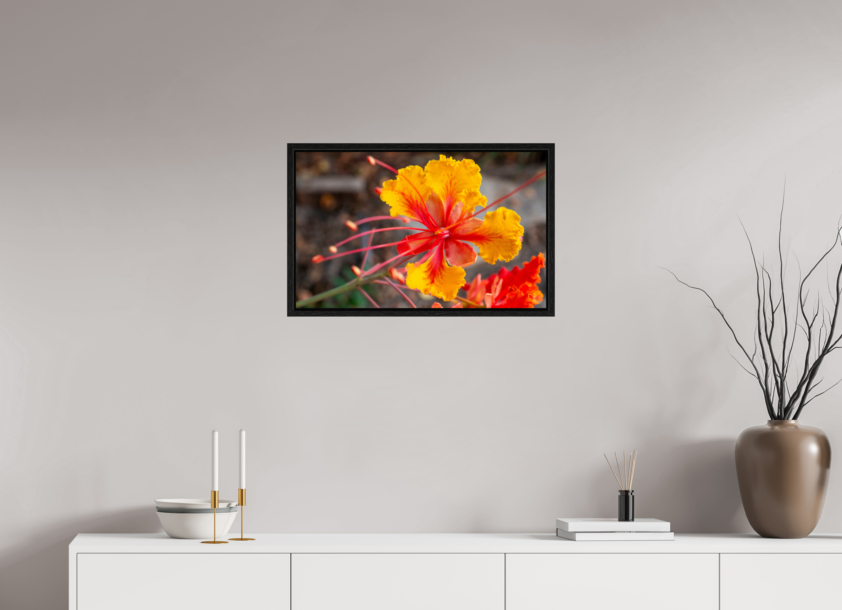 Pride of Barbados_yellow with orange_aspect ratio 16x10