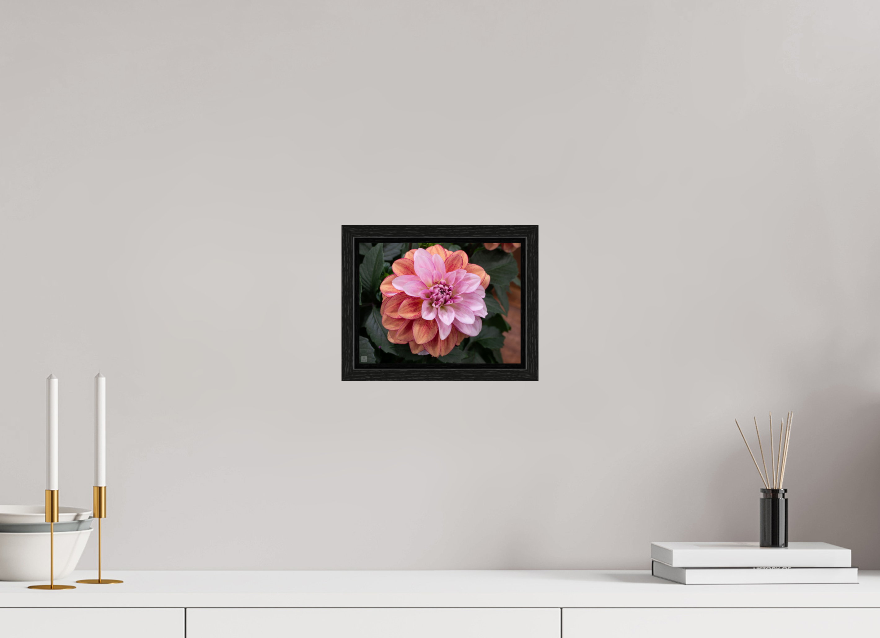 Dahlia_pink with red streak_ aspect ratio 4:3