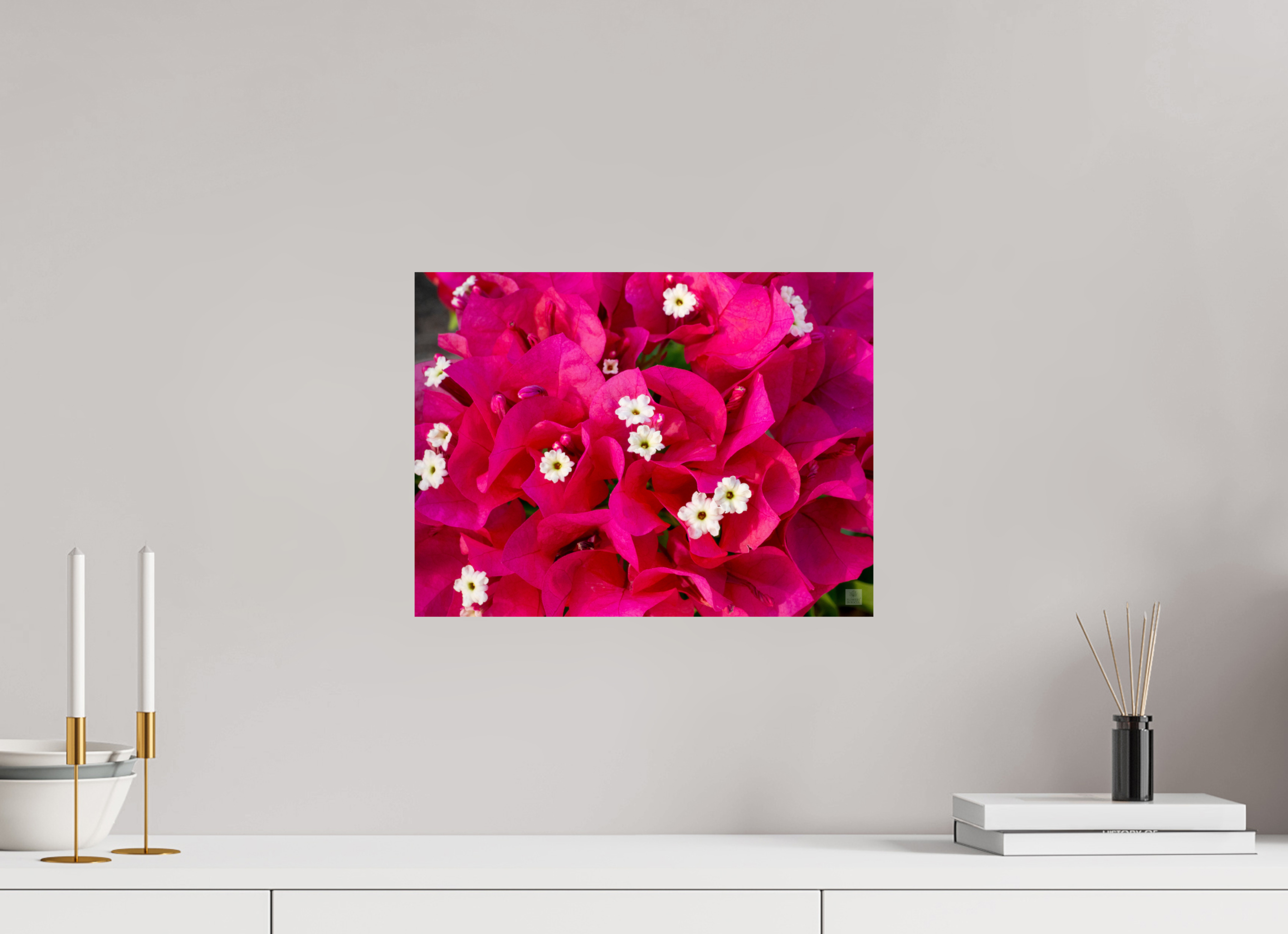Bougainvillea_pink bunch_aspect ratio 4:3