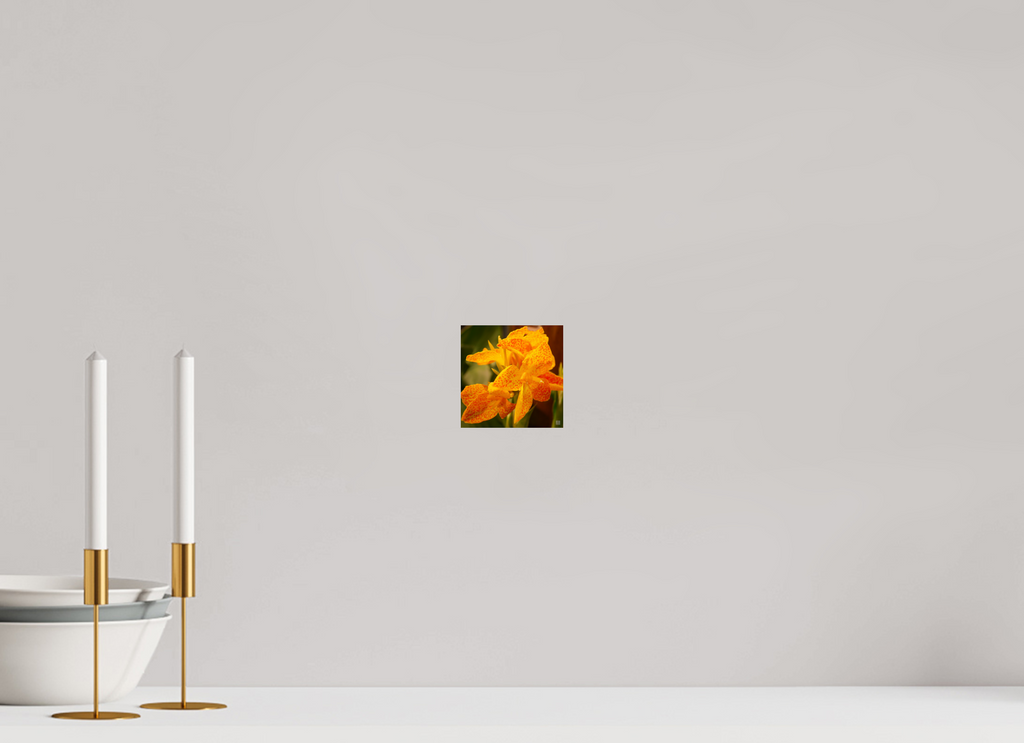 Canna lily_orange & yellow_aspect ratio 1:1