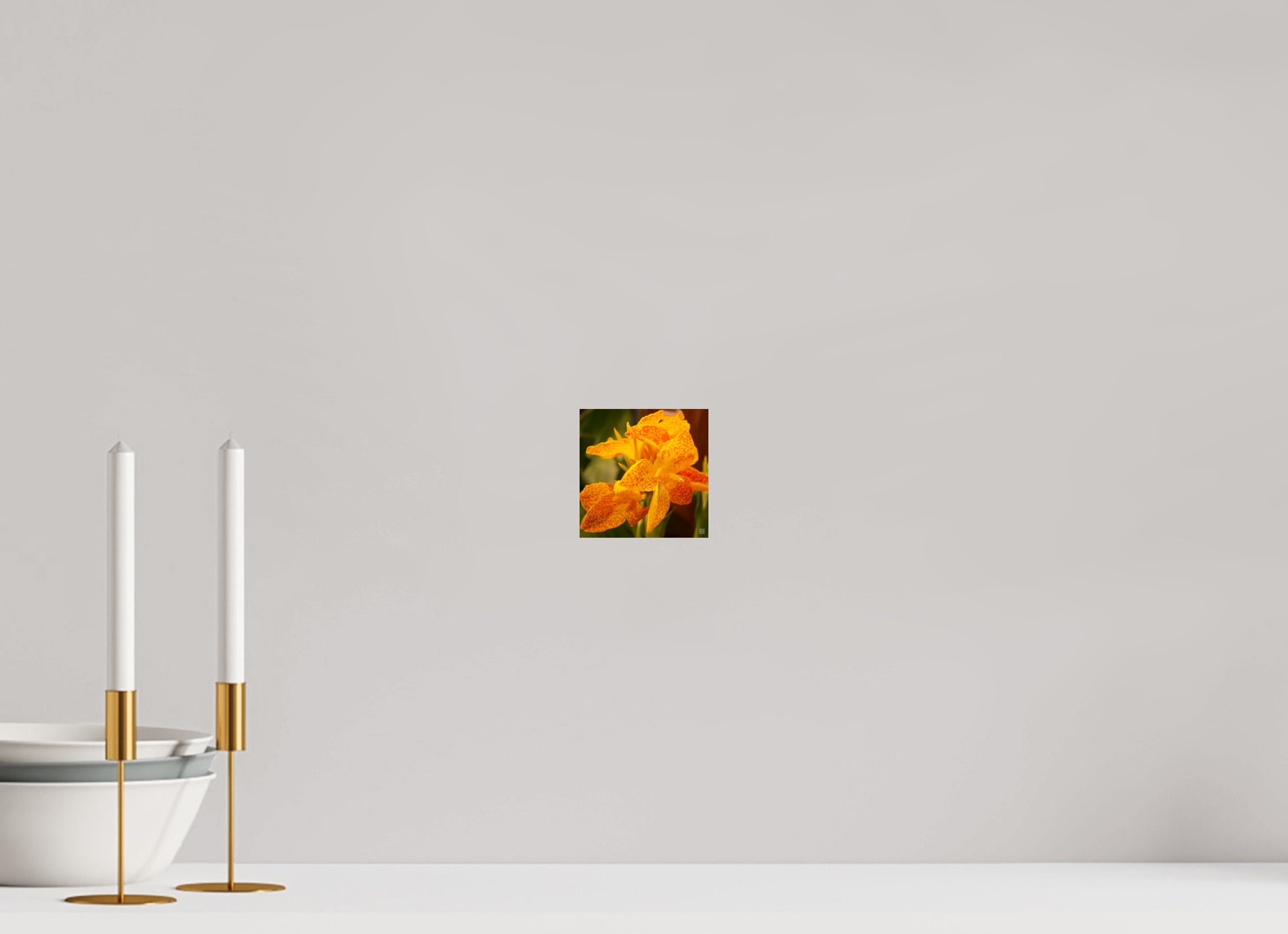 Canna lily_orange & yellow_aspect ratio 1:1