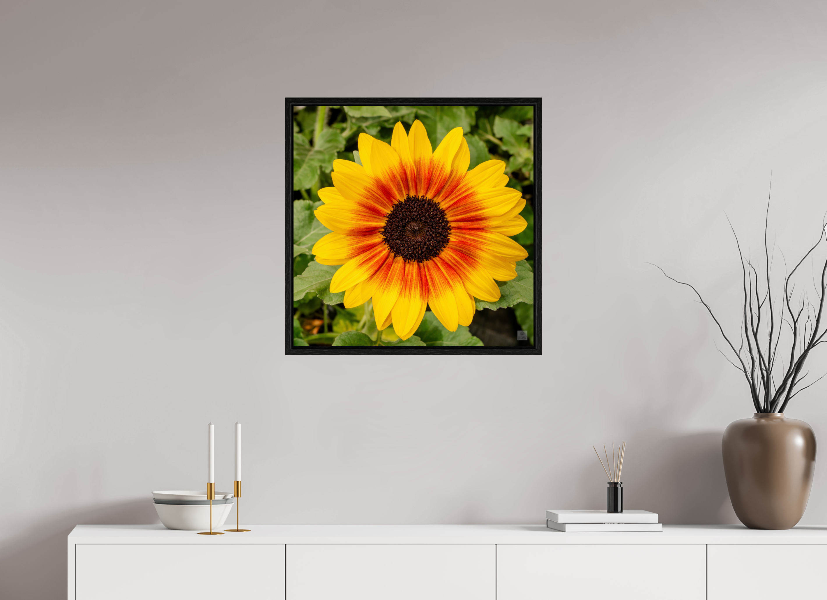 Sunflower hybrid_yellow with orange center_aspect ratio 1x1