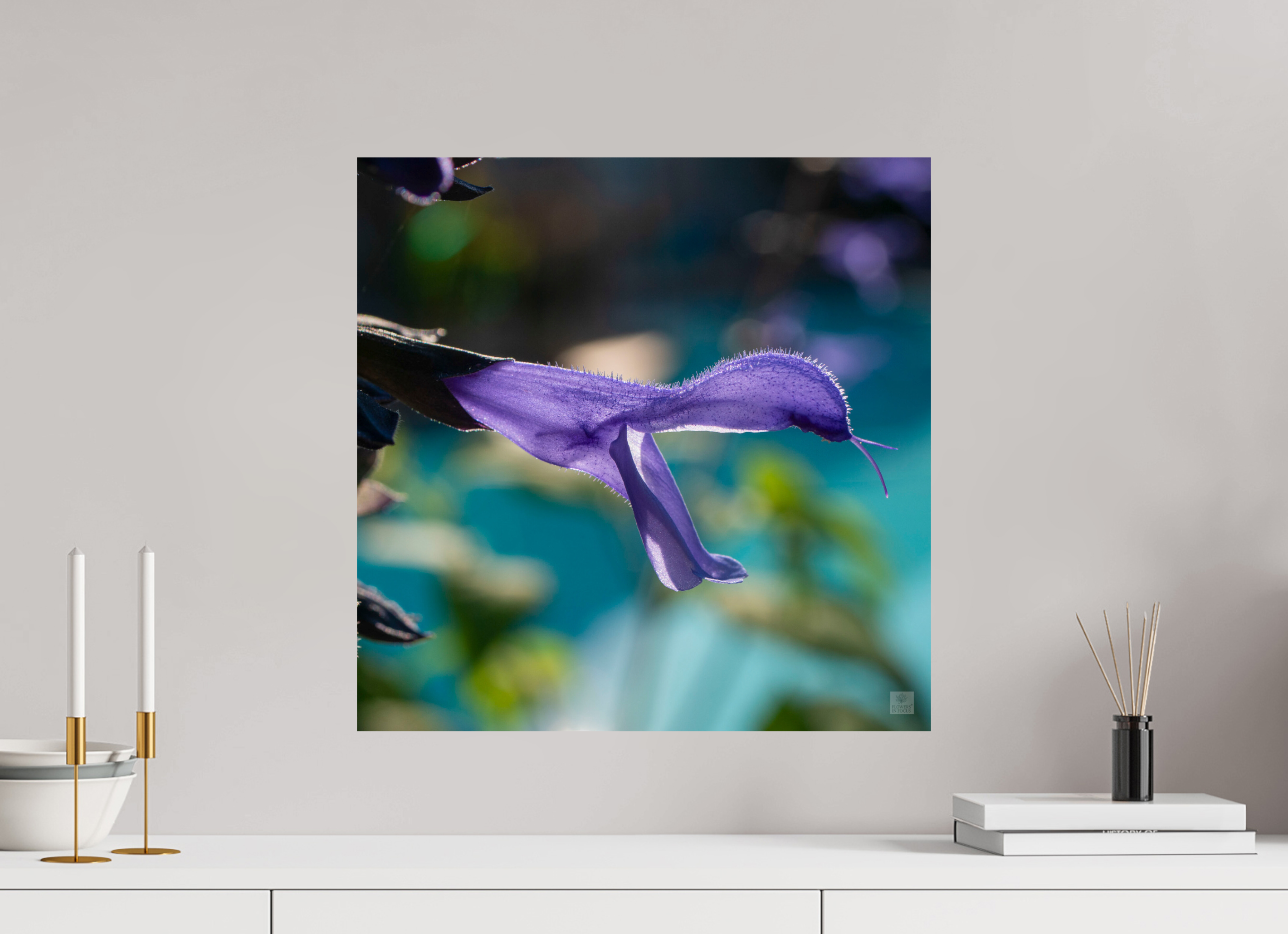Blue black sage_single_aspect ratio 1x1