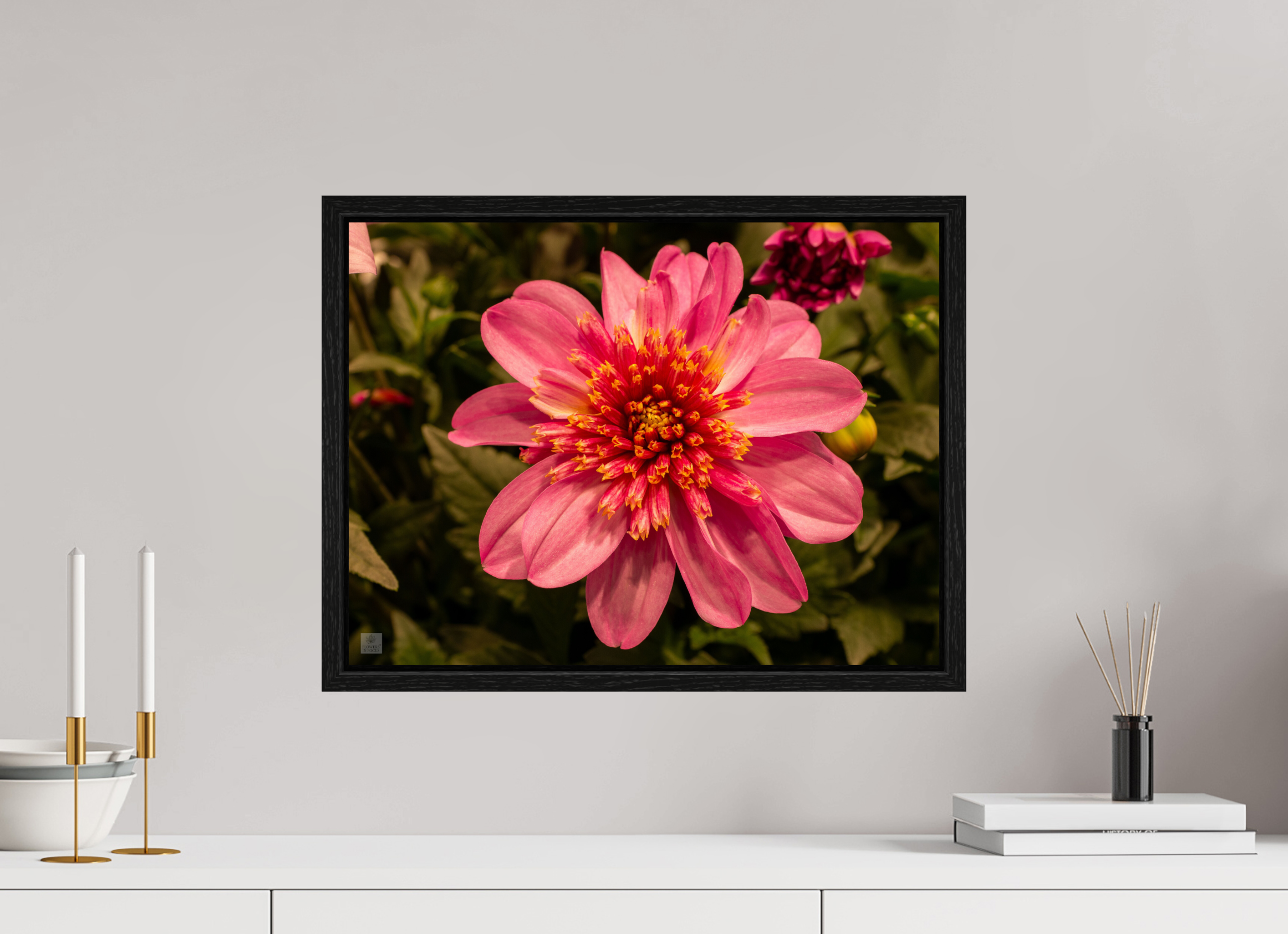 Dahlia_pink with yellow trim_aspect ratio 4:3