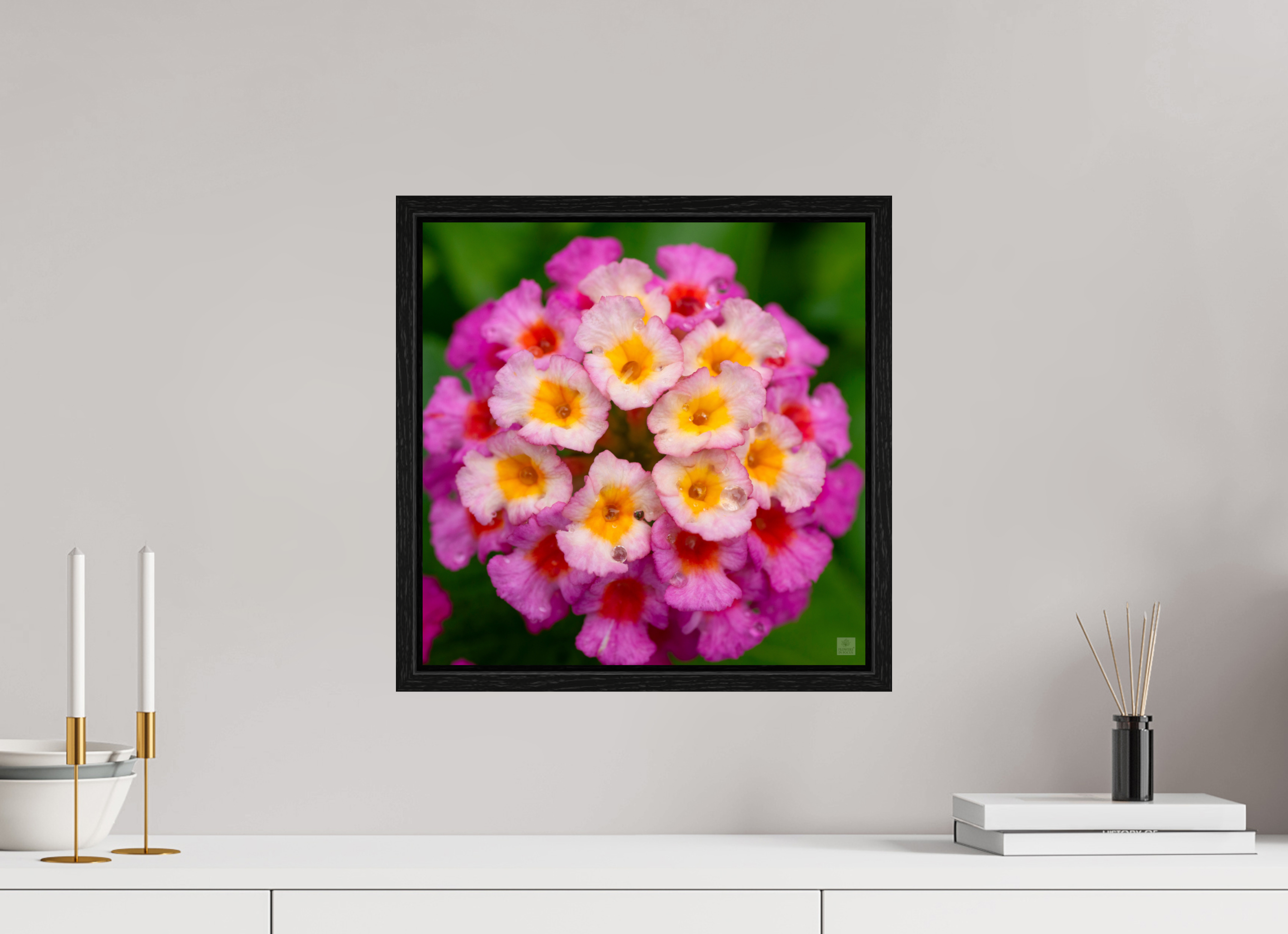 Lantana_deep pink with yellow_water droplets_aspect ratio 1x1