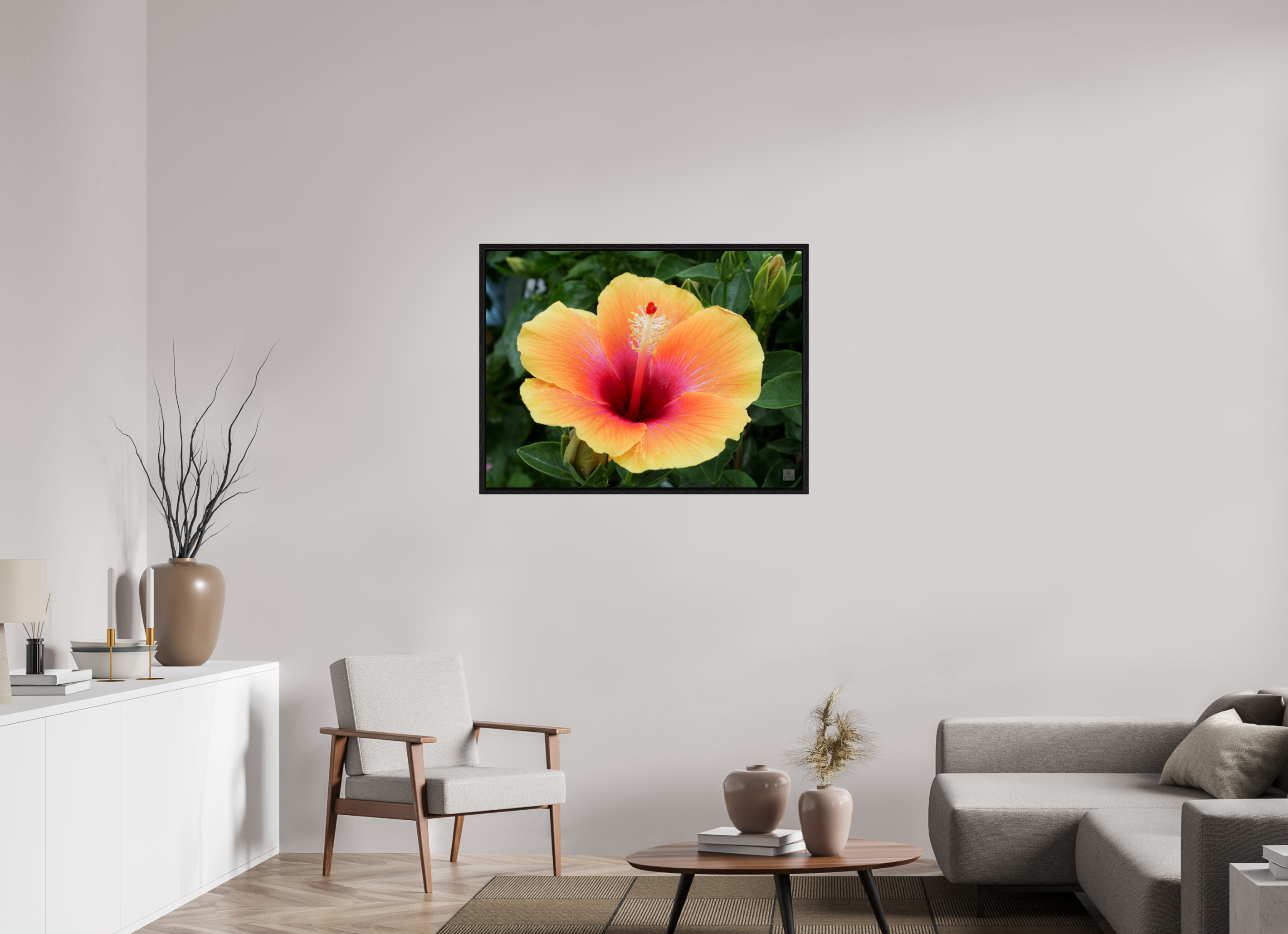 Hibiscus hybrid_peach with pink_aspect ration 4x3