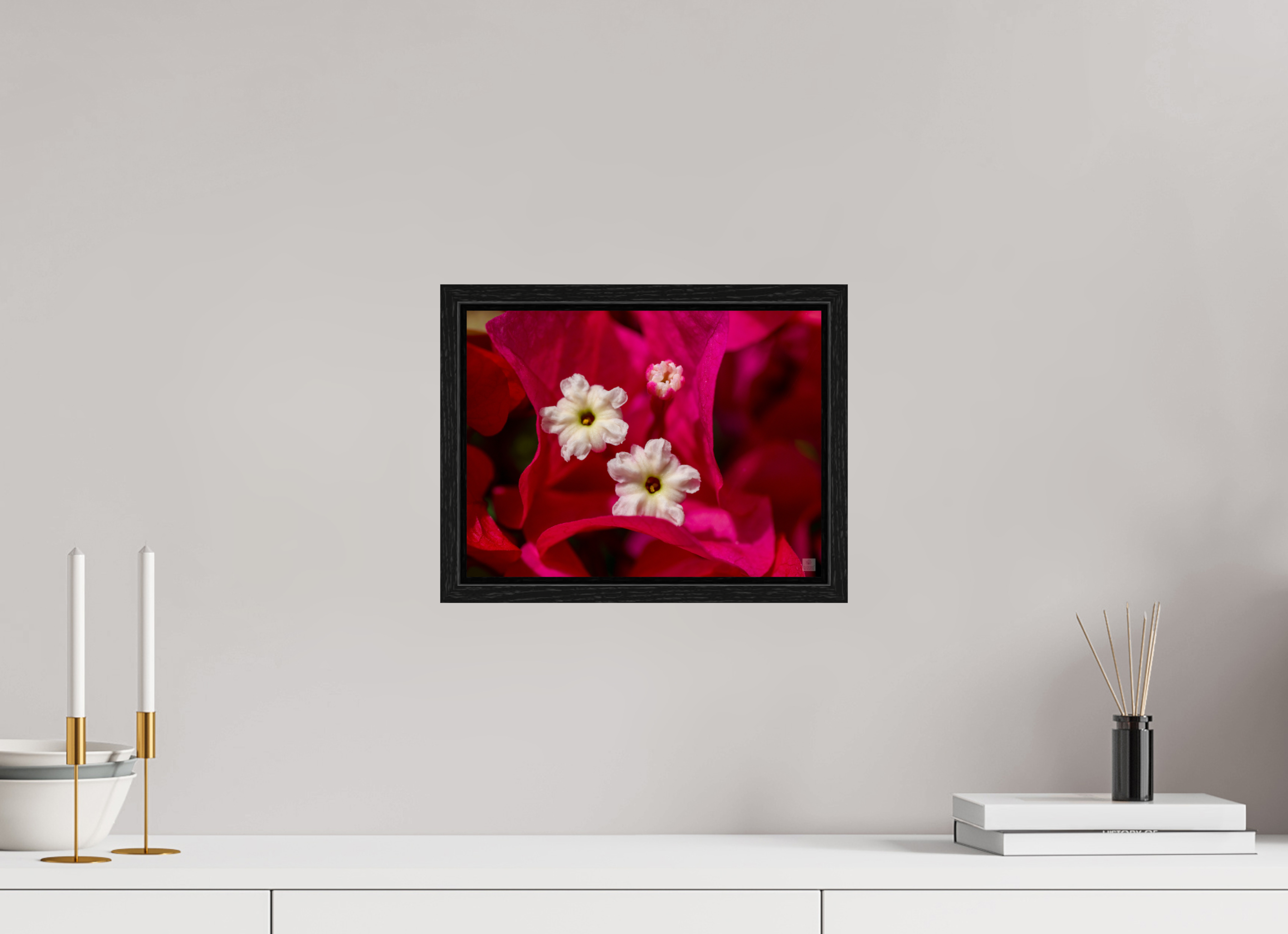 Bougainvillea_pink close-up_aspect ratio 4:3