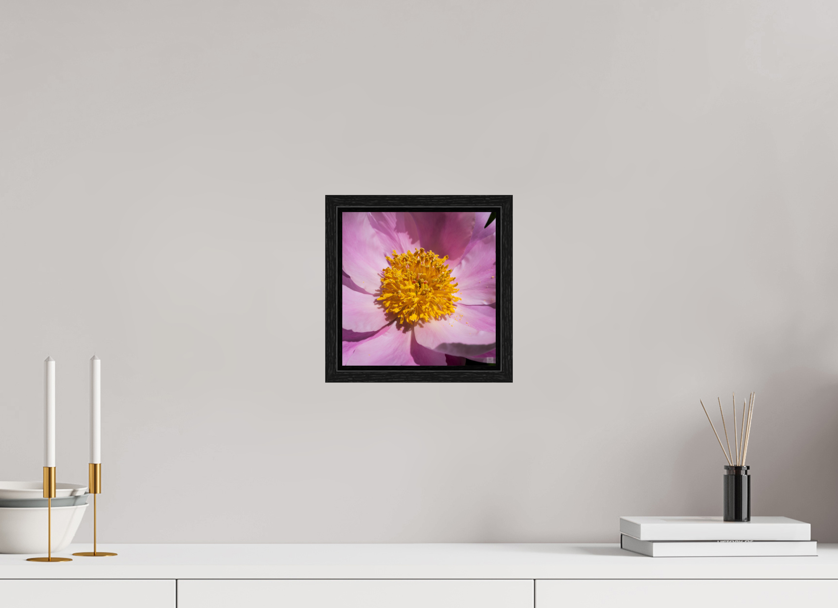 Peony_light pink close-up_aspect ratio 1x1