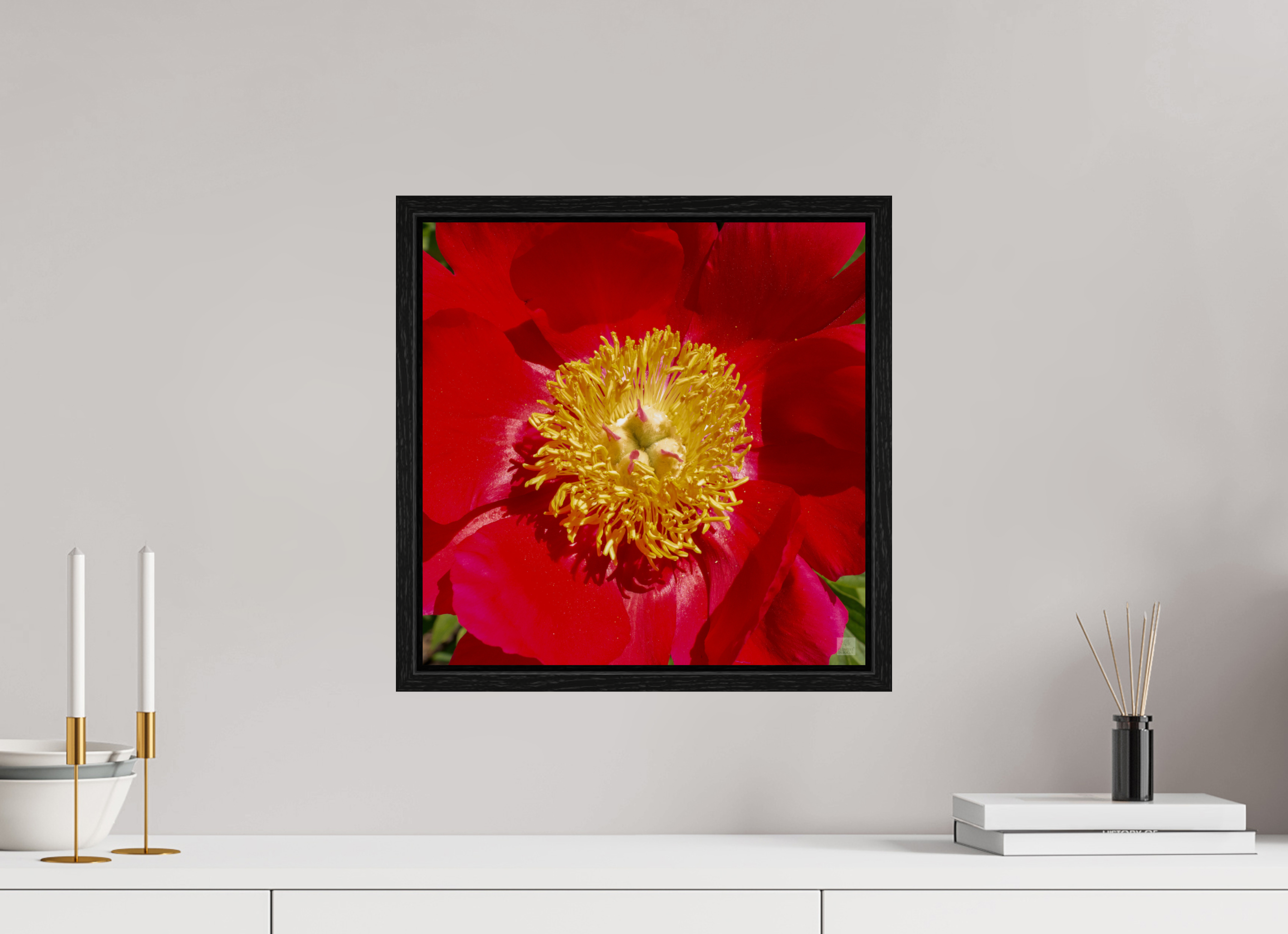 Peony_red close up_aspect ratio 1x1