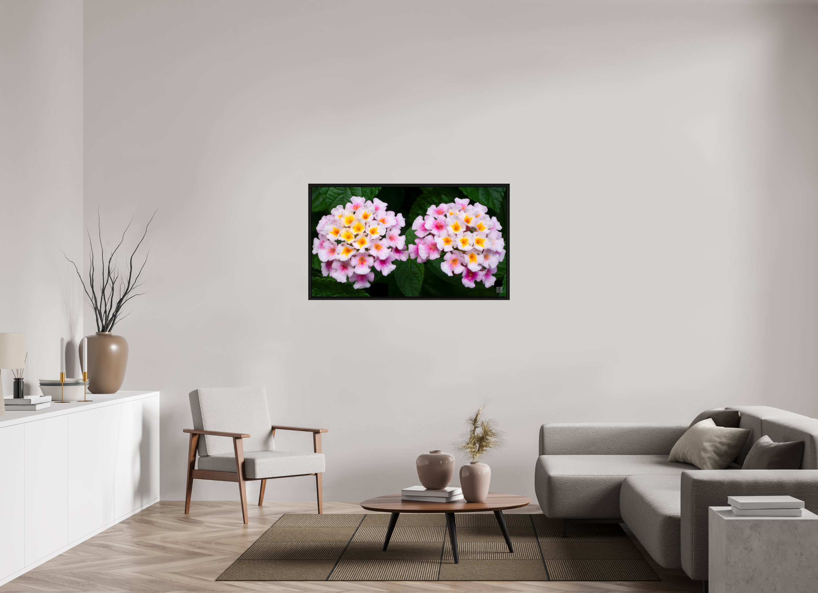 Lantana_double pink with white yellow_aspect ratio 16x9