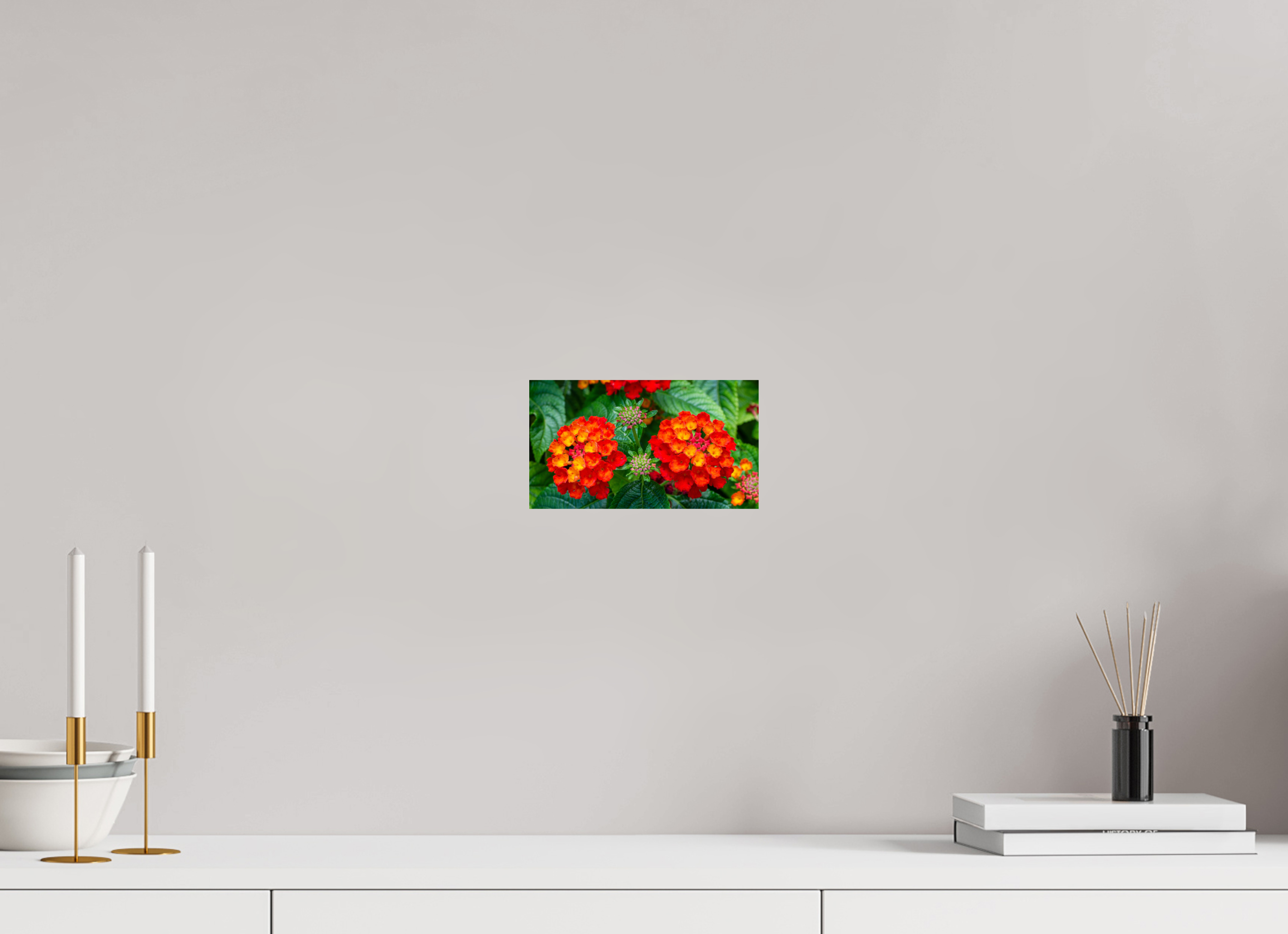 Lantana_orange with yellow double flower_aspect ratio 16x9