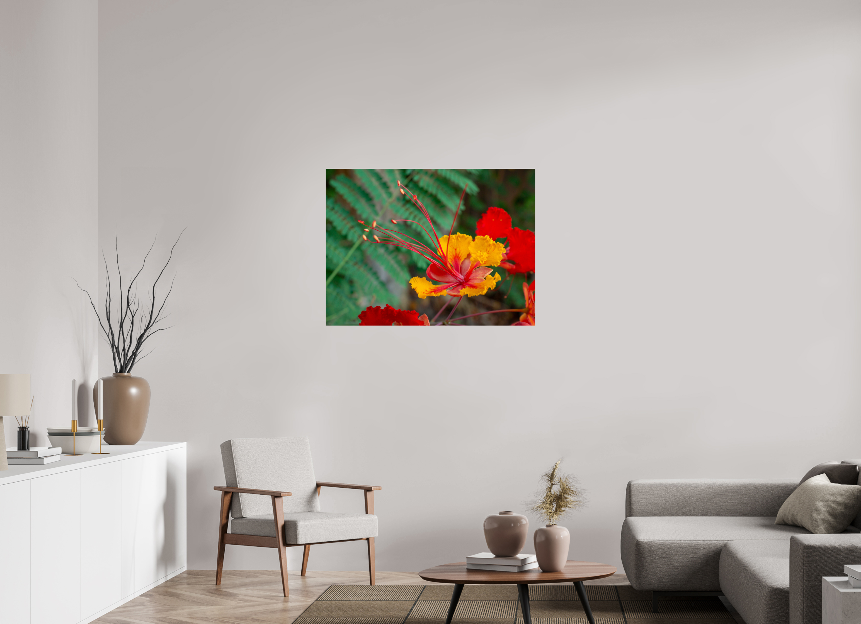 Pride of Barbados_yellow with orange_aspect ratio 4x3