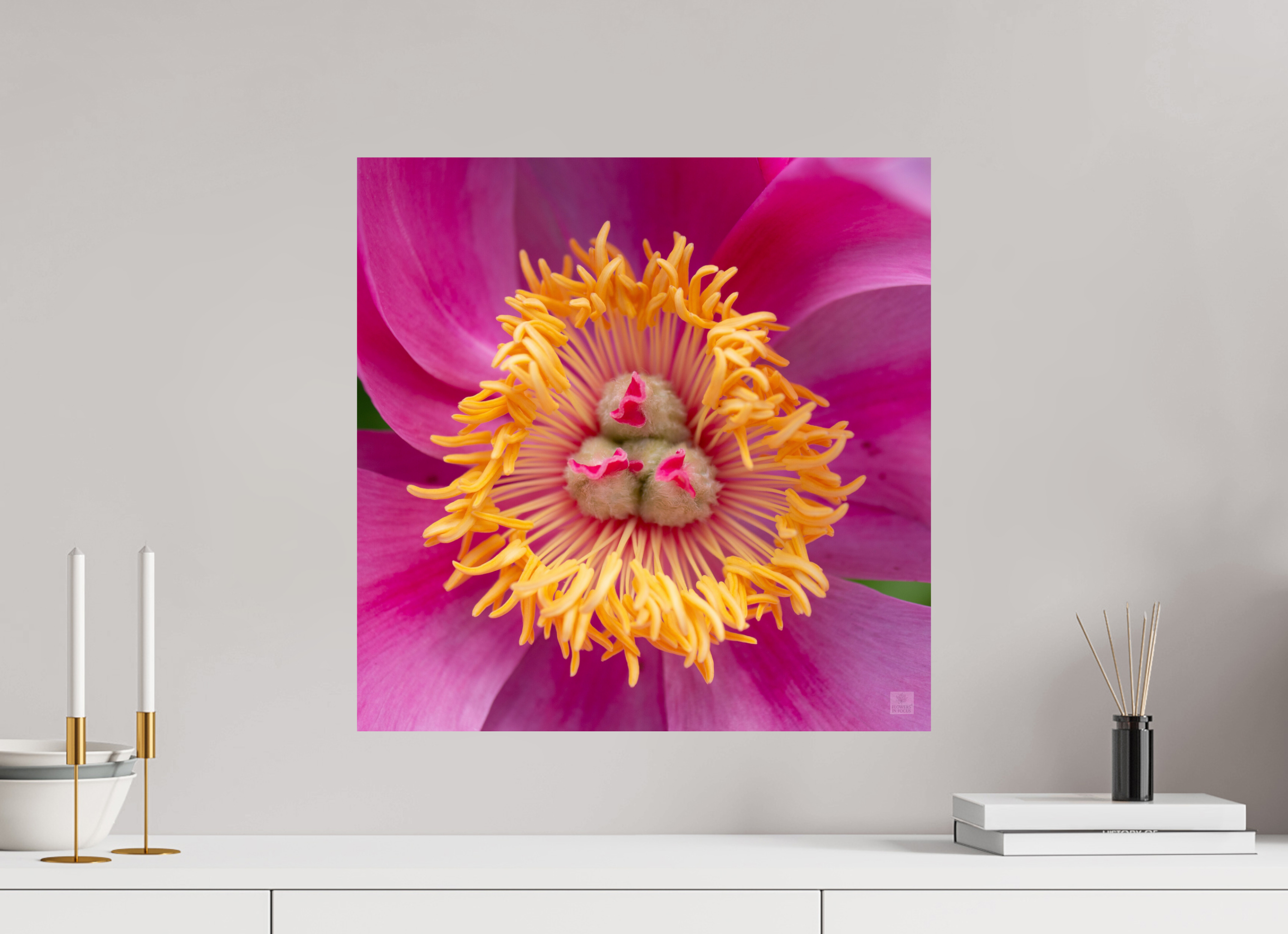Peony_pink_center-2_aspect ratio 1x1