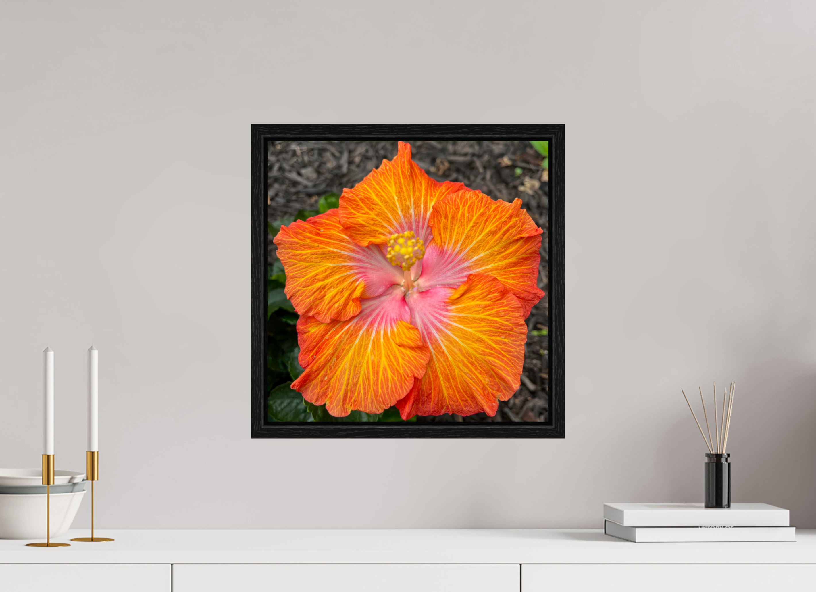 Hibiscus hybrid_bright orange_aspect ratio 1:1