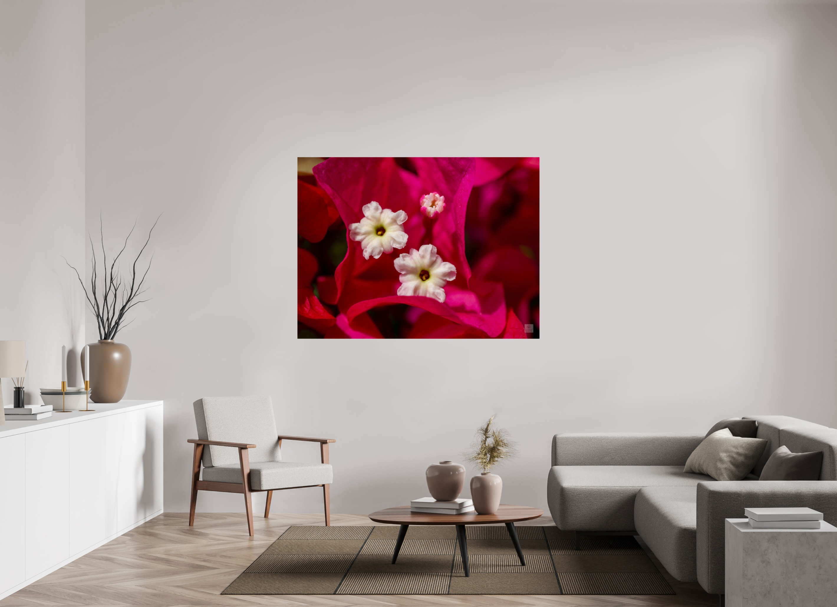 Bougainvillea_pink close-up_aspect ratio 4:3