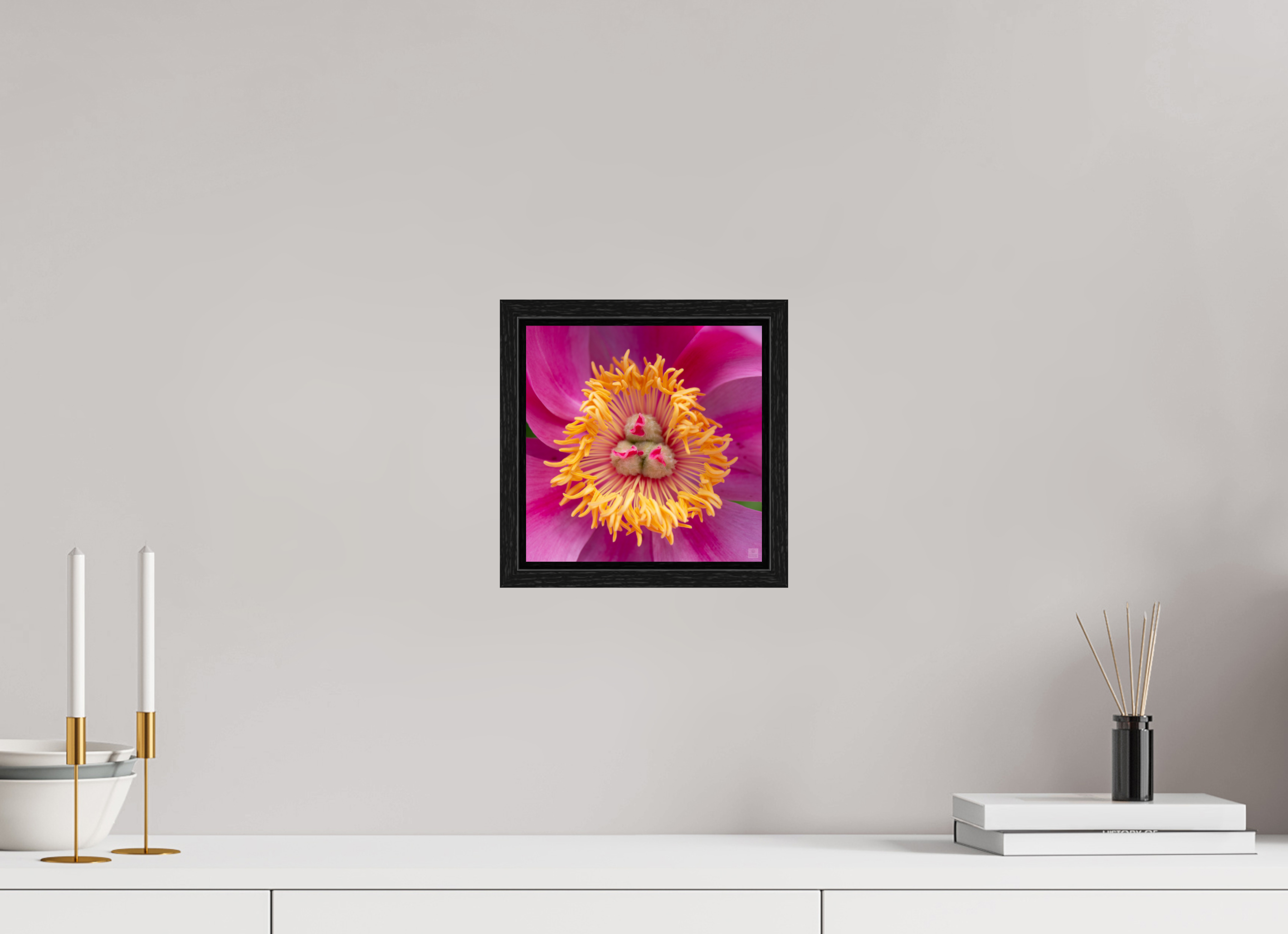 Peony_pink_center-2_aspect ratio 1x1
