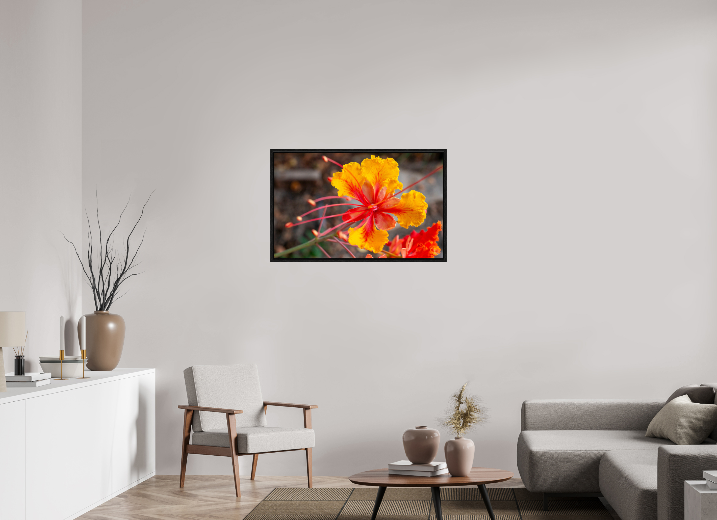 Pride of Barbados_yellow with orange_aspect ratio 16x10